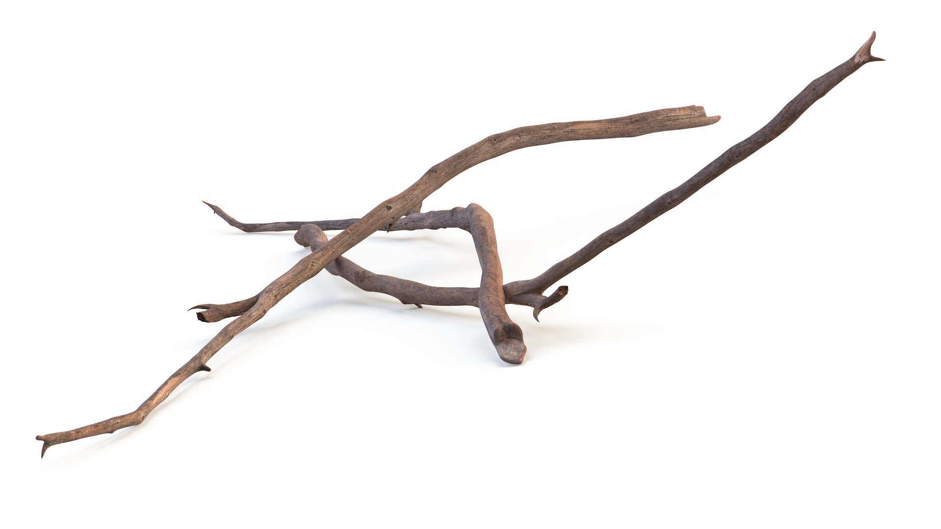 3D model Dry Branch