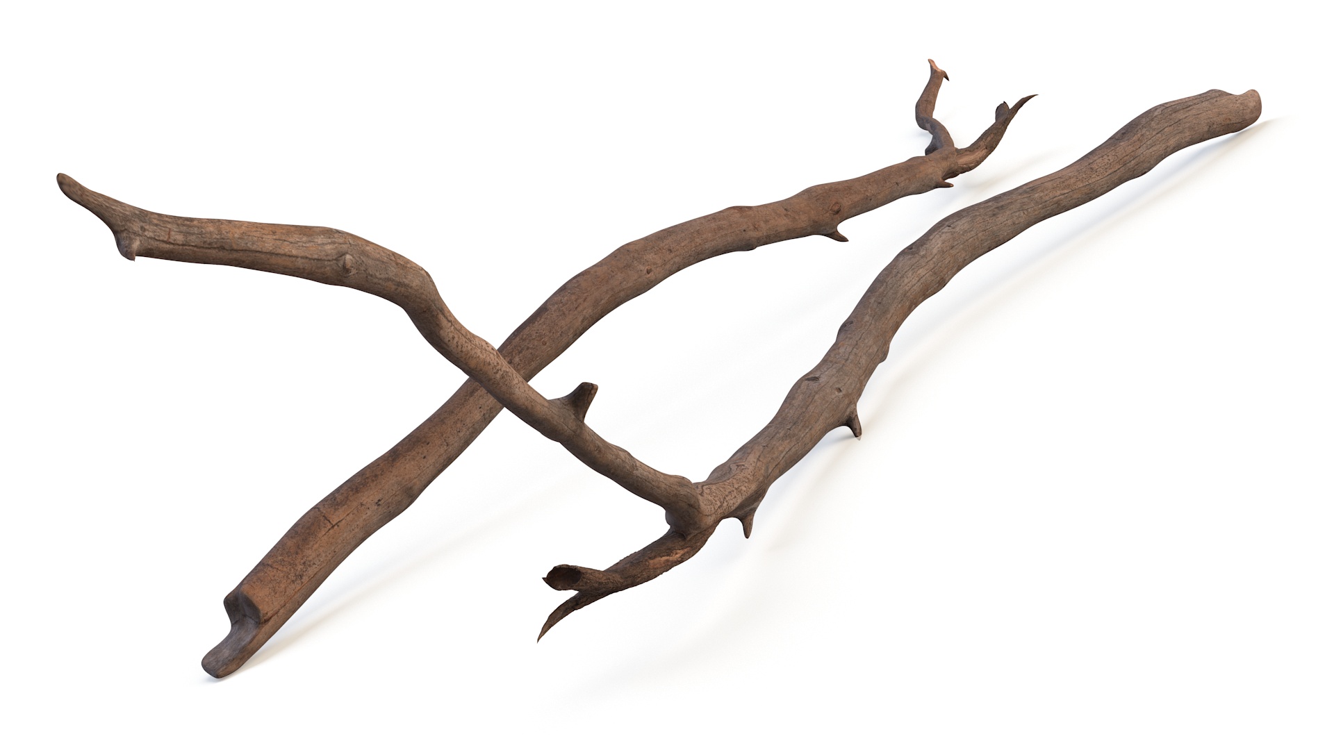 3D model Dry Branch