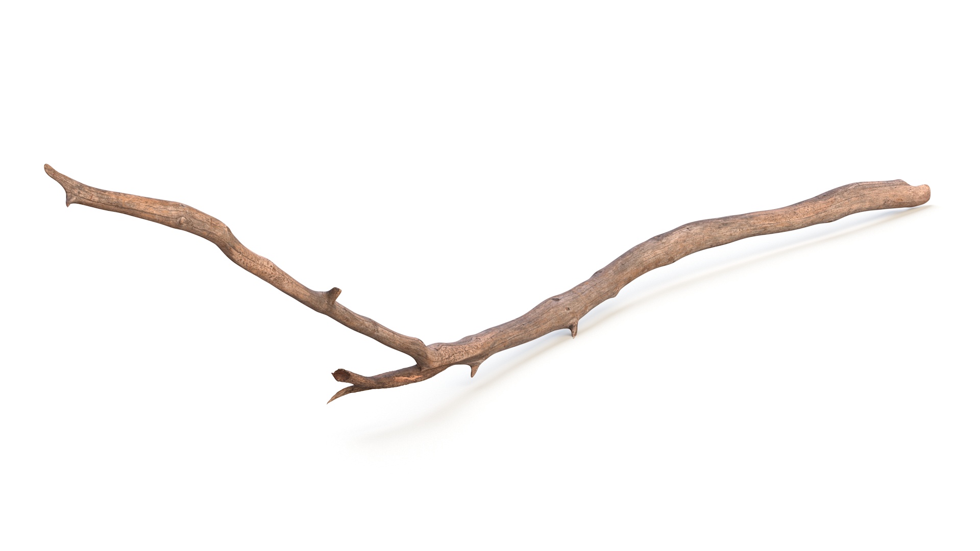 3D model Dry Branch