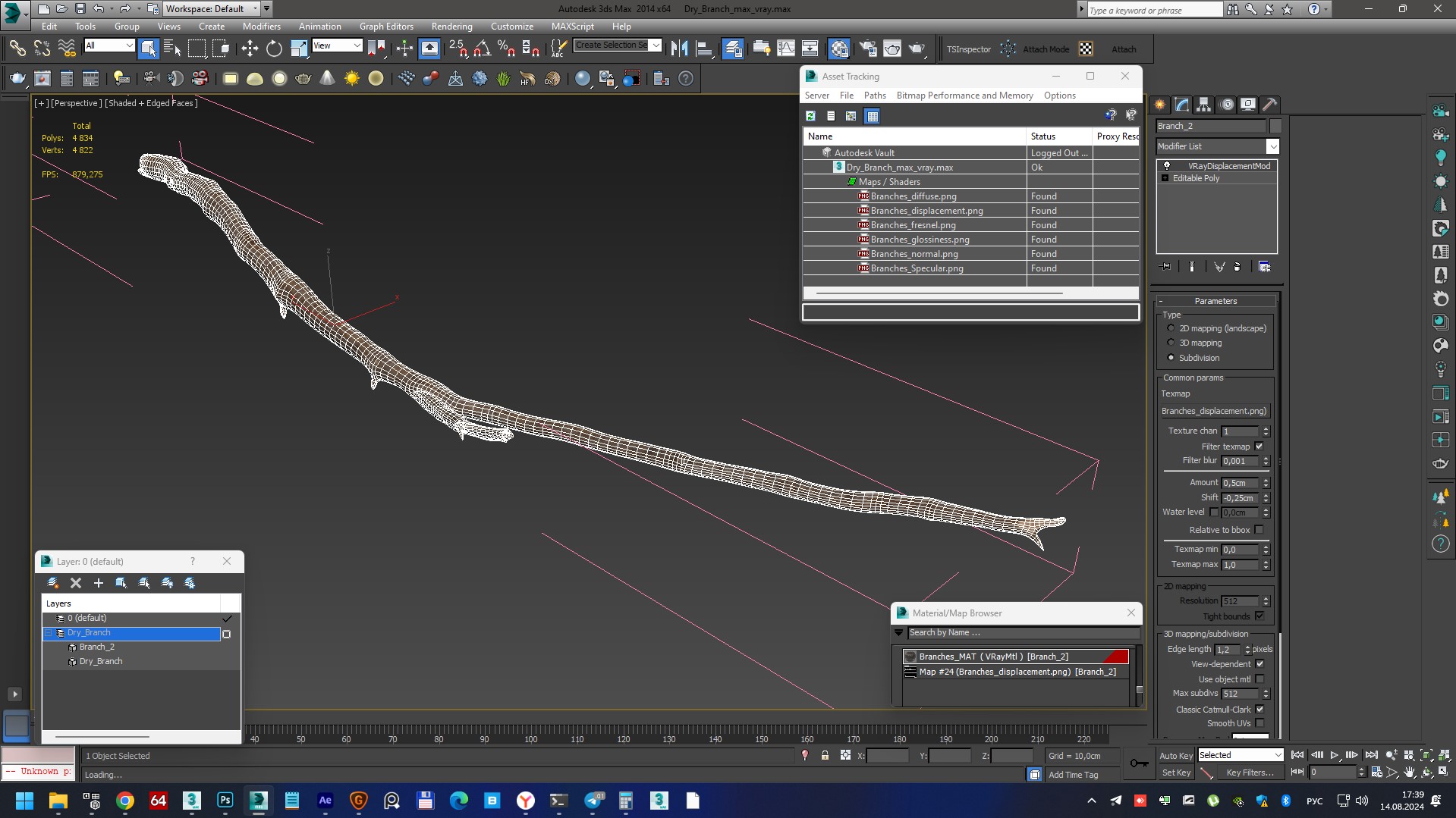 3D model Dry Branch