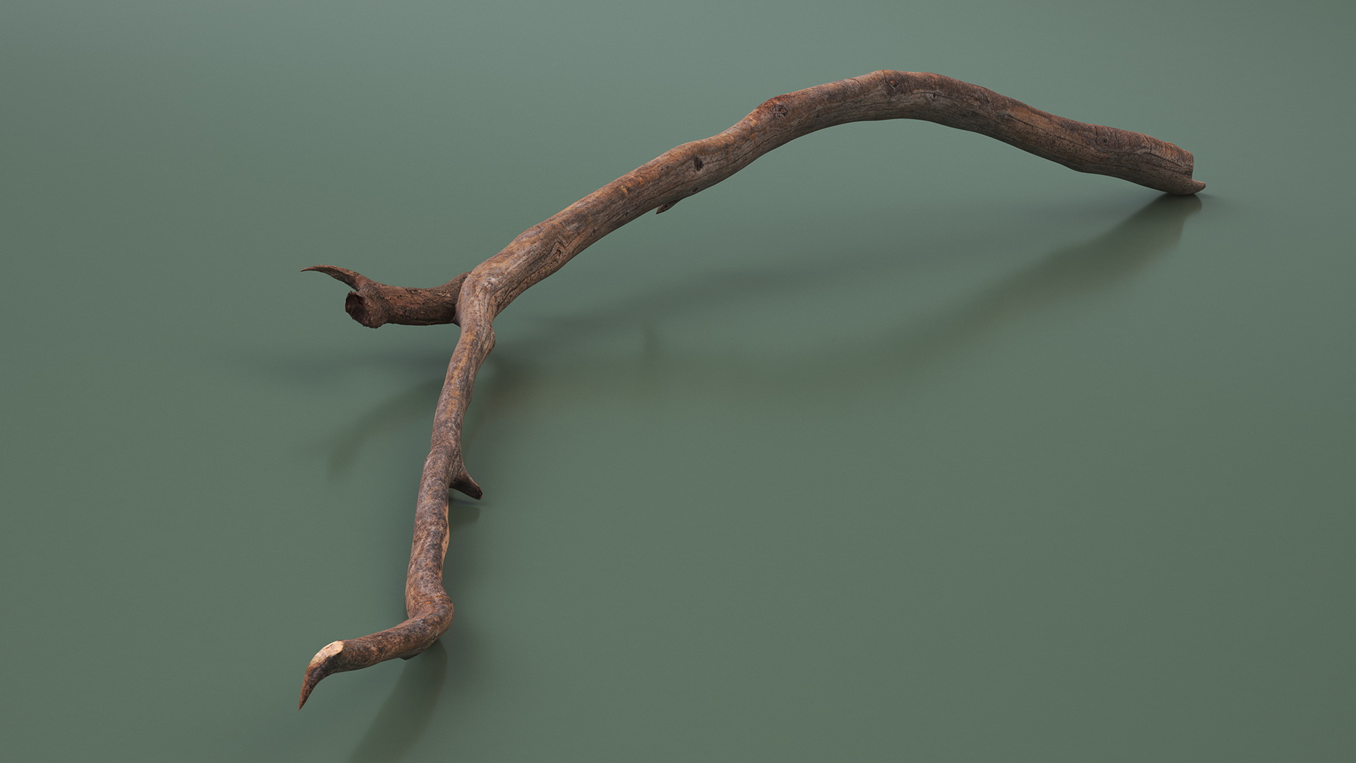 3D model Dry Branch