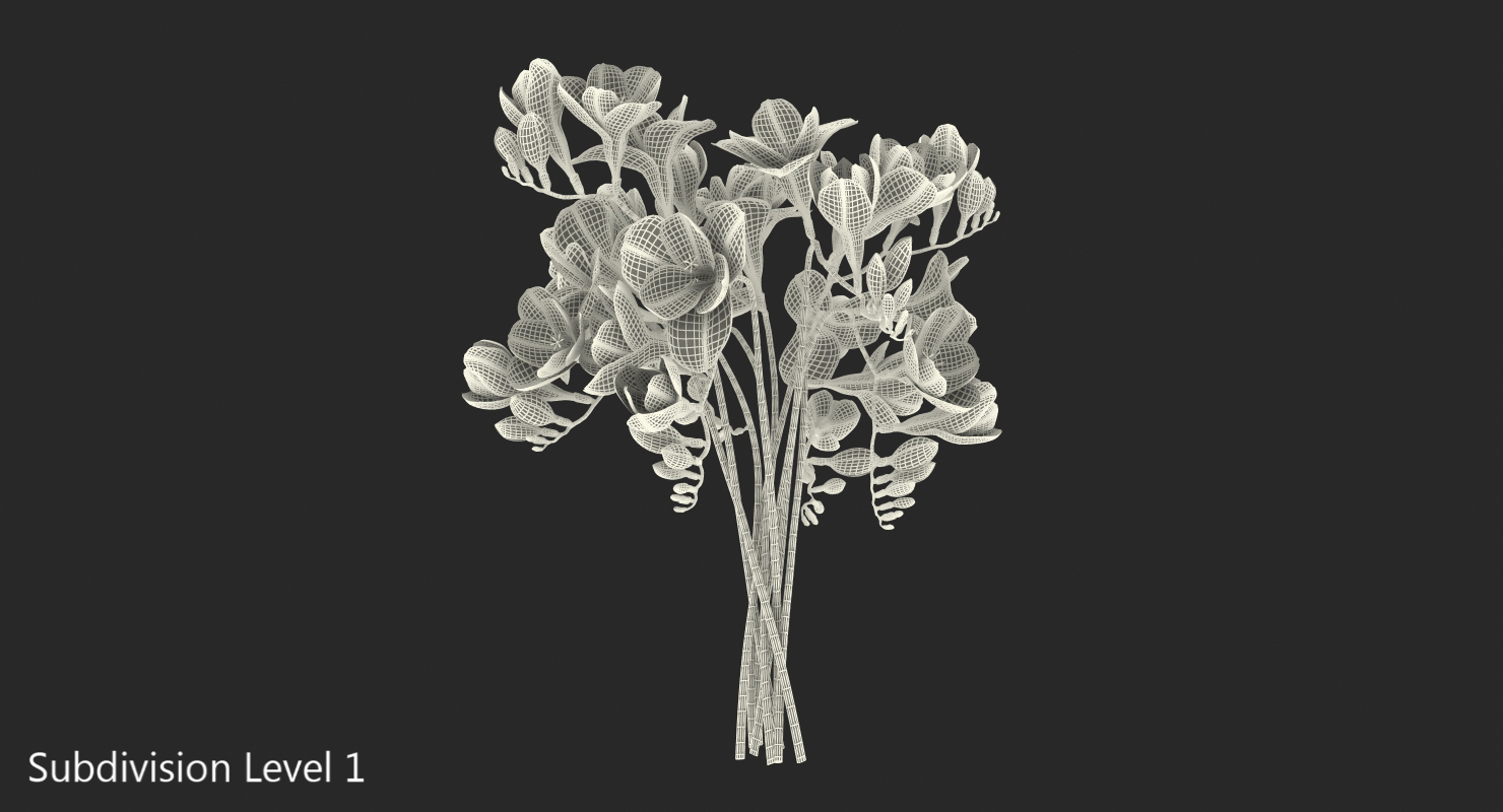 3D model Freesia Bouquet