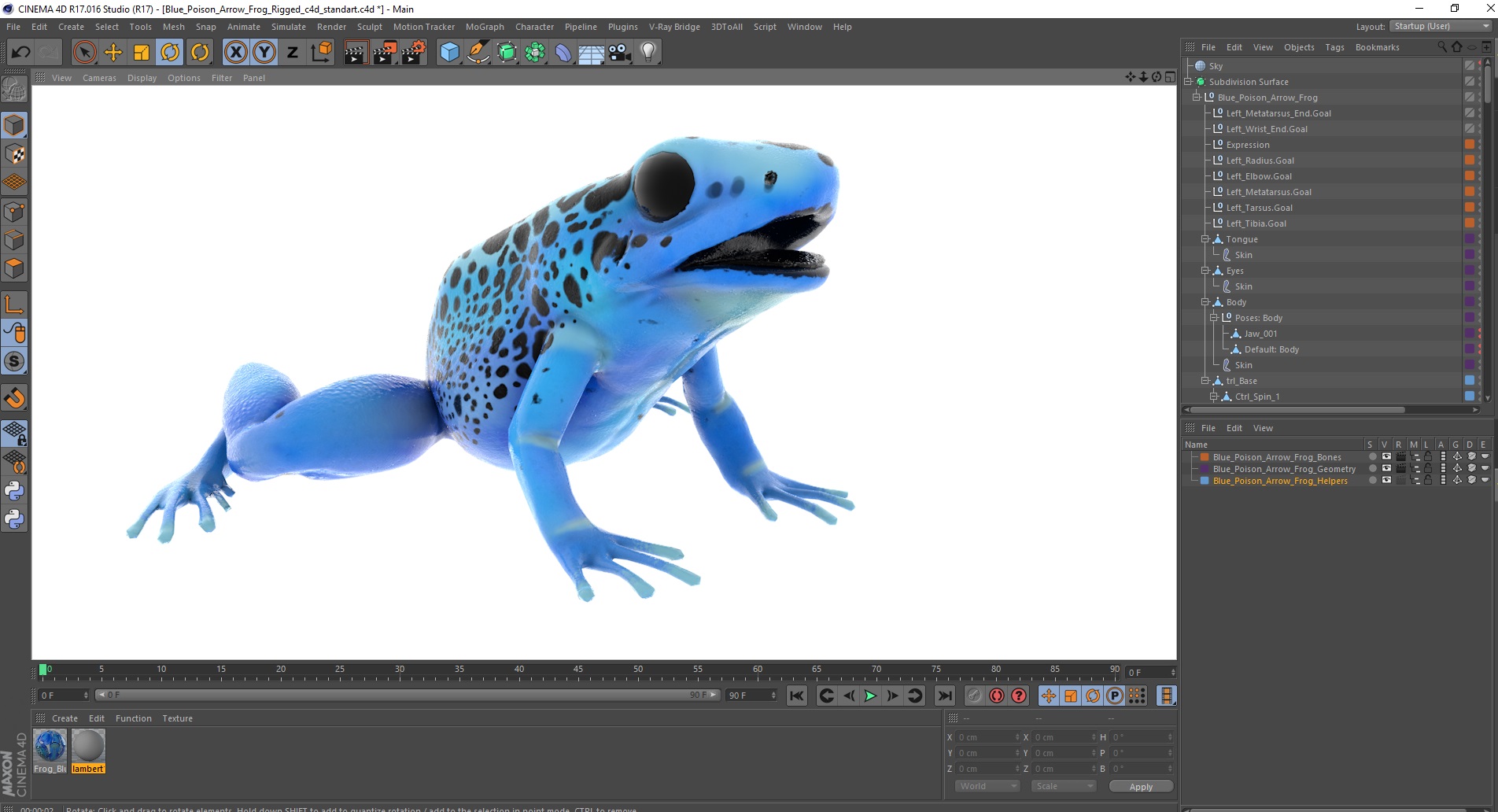 3D Blue Poison Arrow Frog Rigged for Cinema 4D model