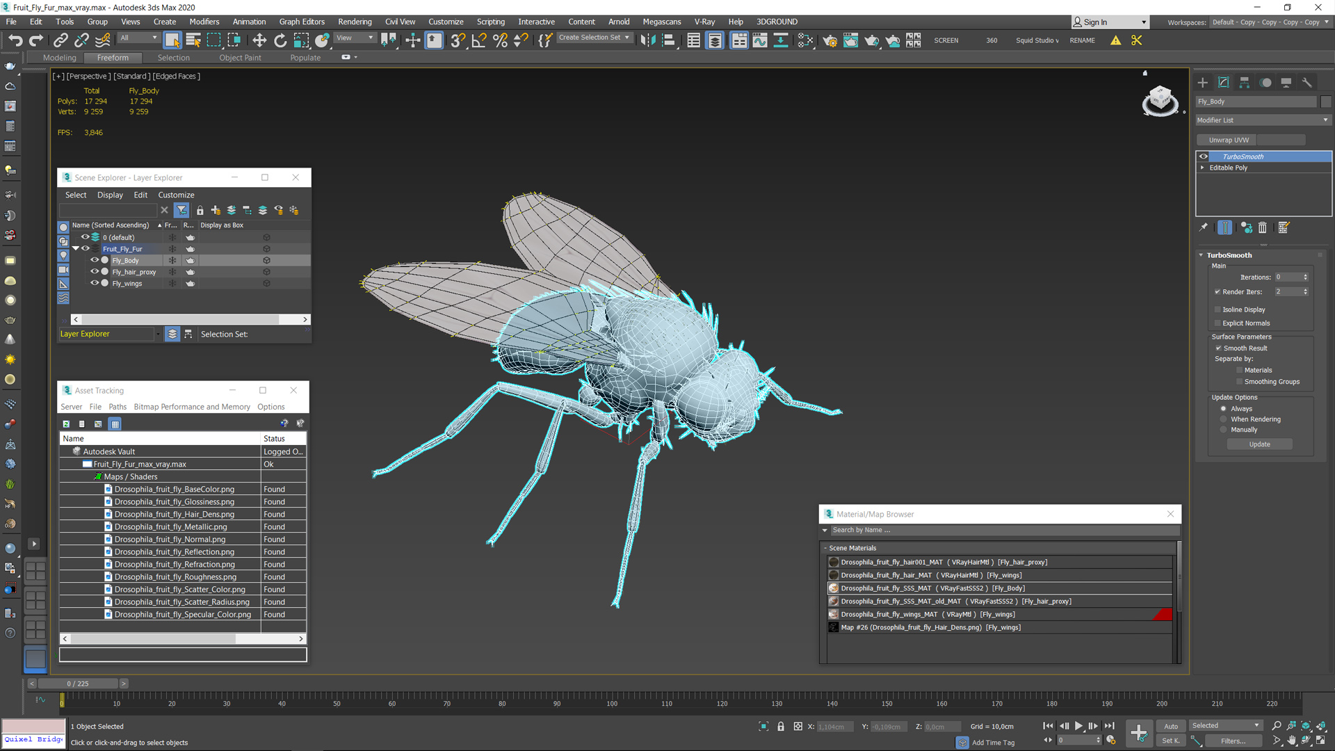 3D Fruit Fly Fur model