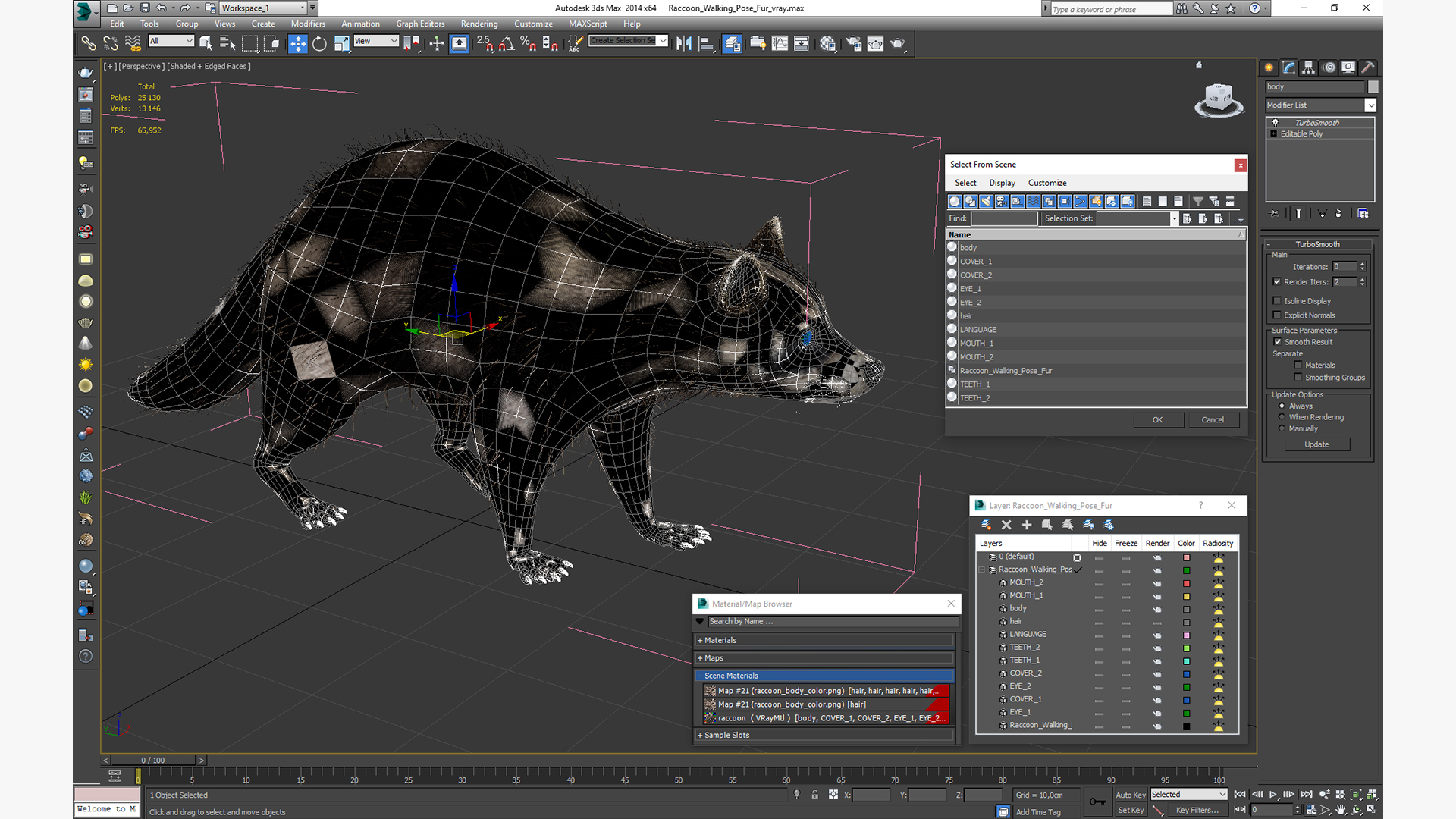 Raccoon Walking Pose Fur 3D model