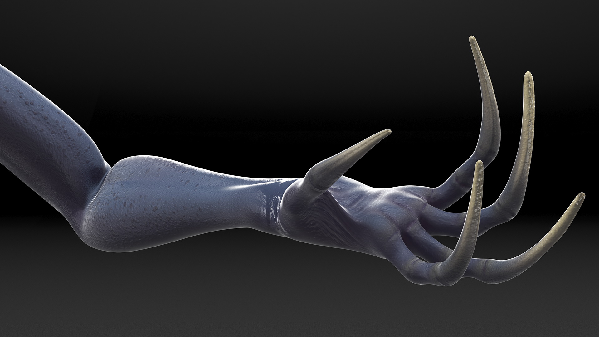 3D Scary Creature Arm model