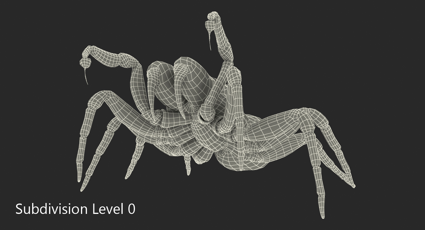 3D model Mouse Spider Fighting Pose with Fur