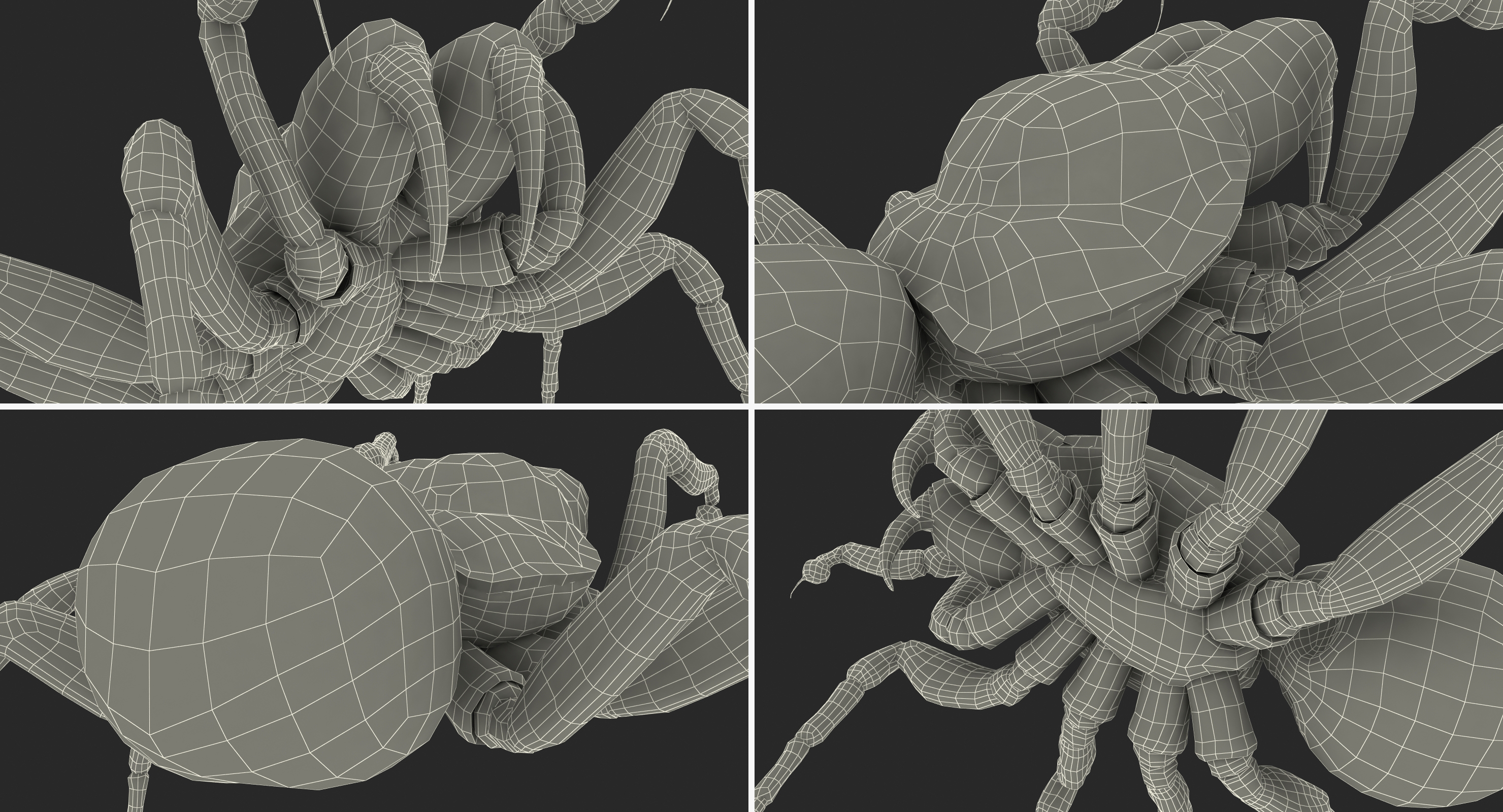 3D model Mouse Spider Fighting Pose with Fur