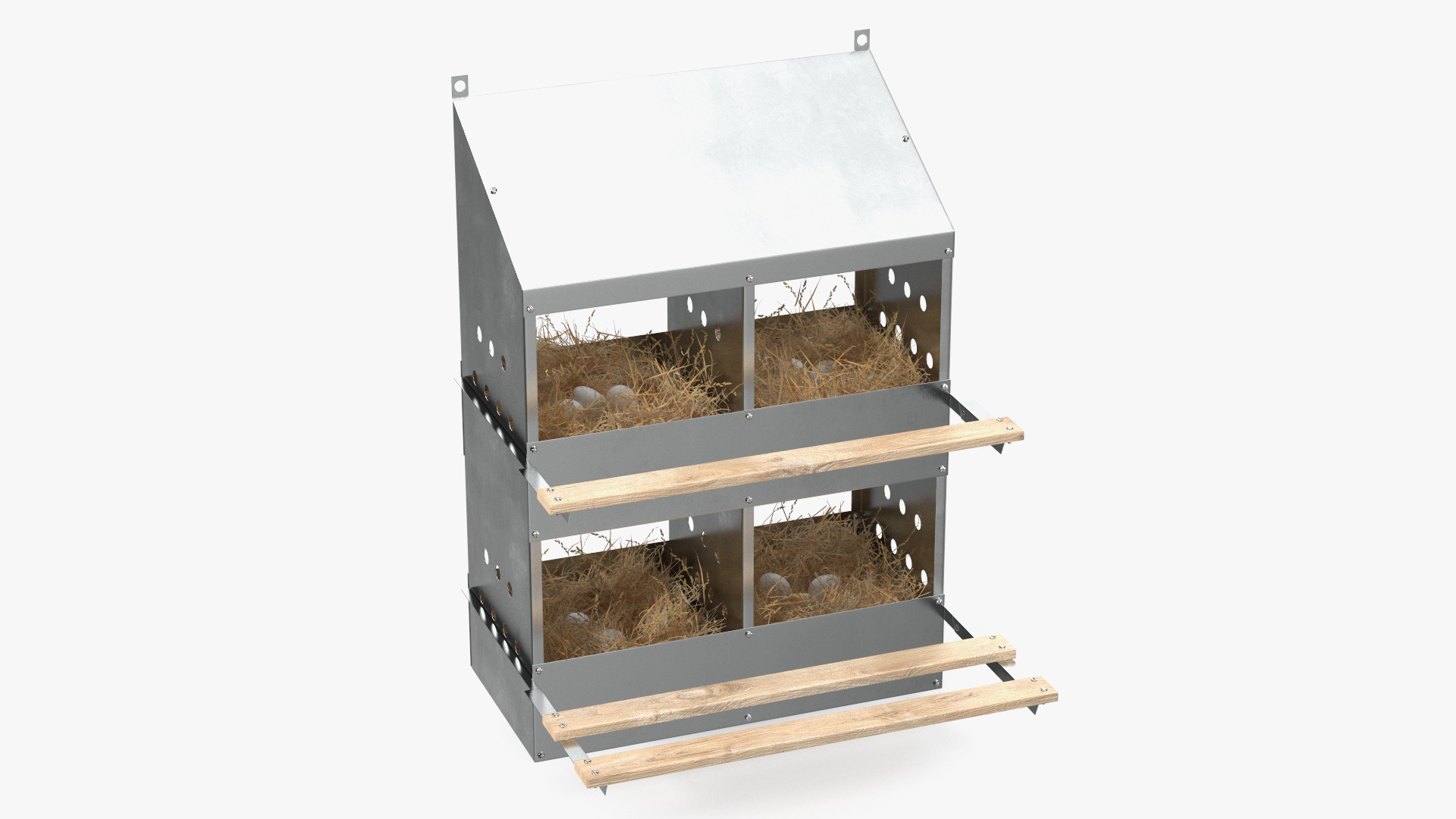 3D 4-Hole Poultry Nest Box With Chicken Eggs