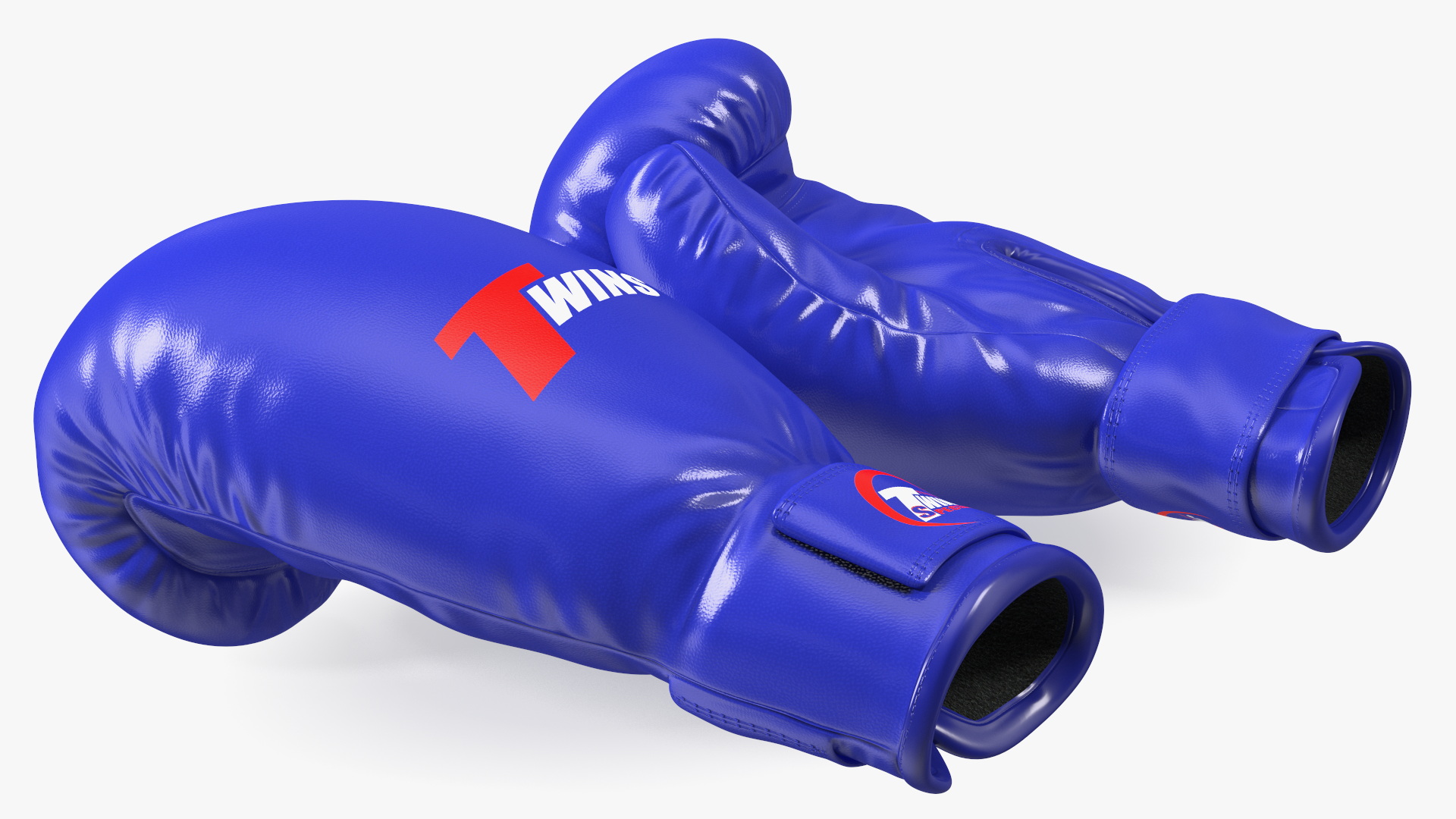 Special Boxing Gloves TWINS 3D