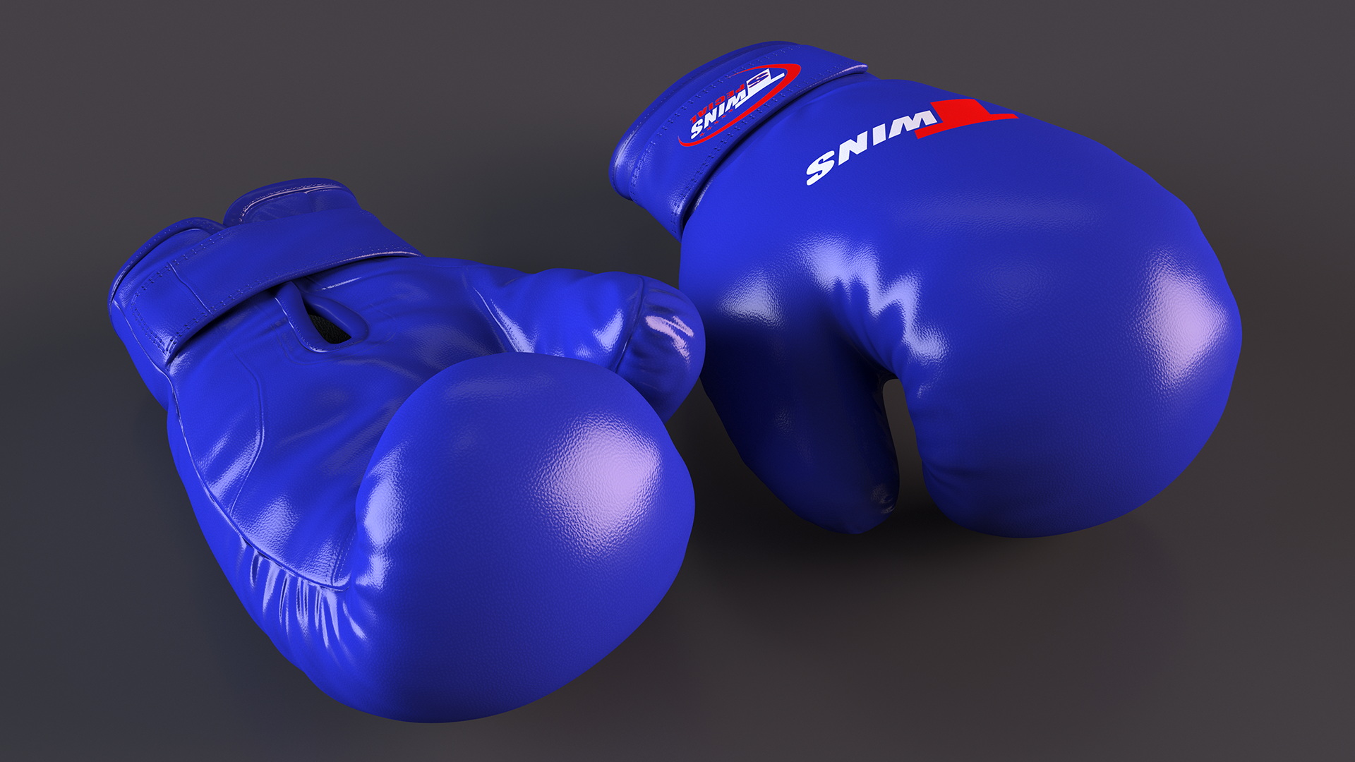 Special Boxing Gloves TWINS 3D