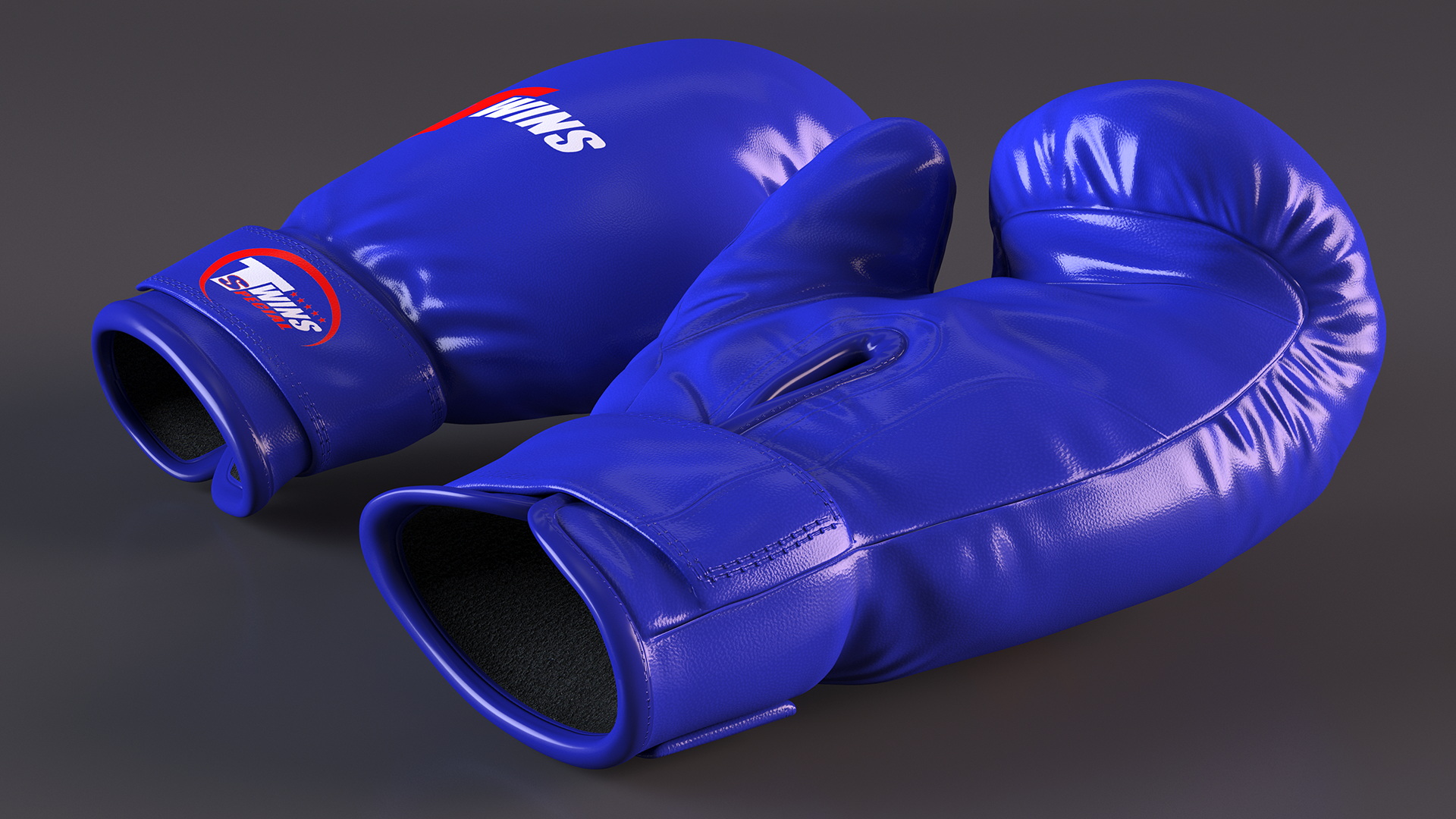 Special Boxing Gloves TWINS 3D