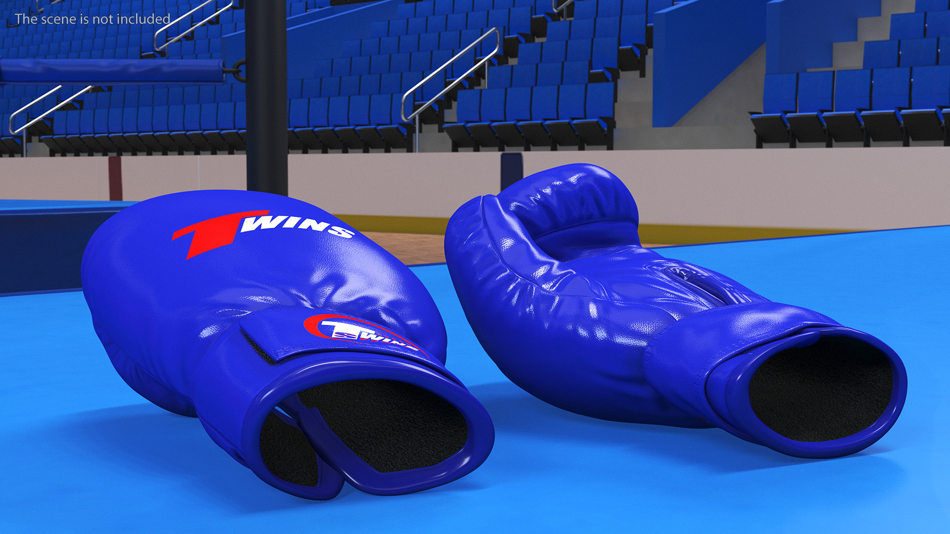 Special Boxing Gloves TWINS 3D