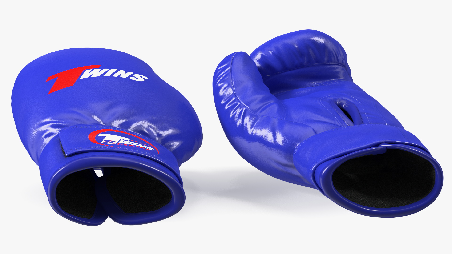 Special Boxing Gloves TWINS 3D