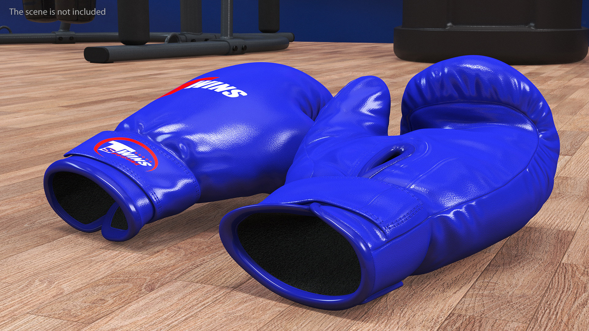 Special Boxing Gloves TWINS 3D