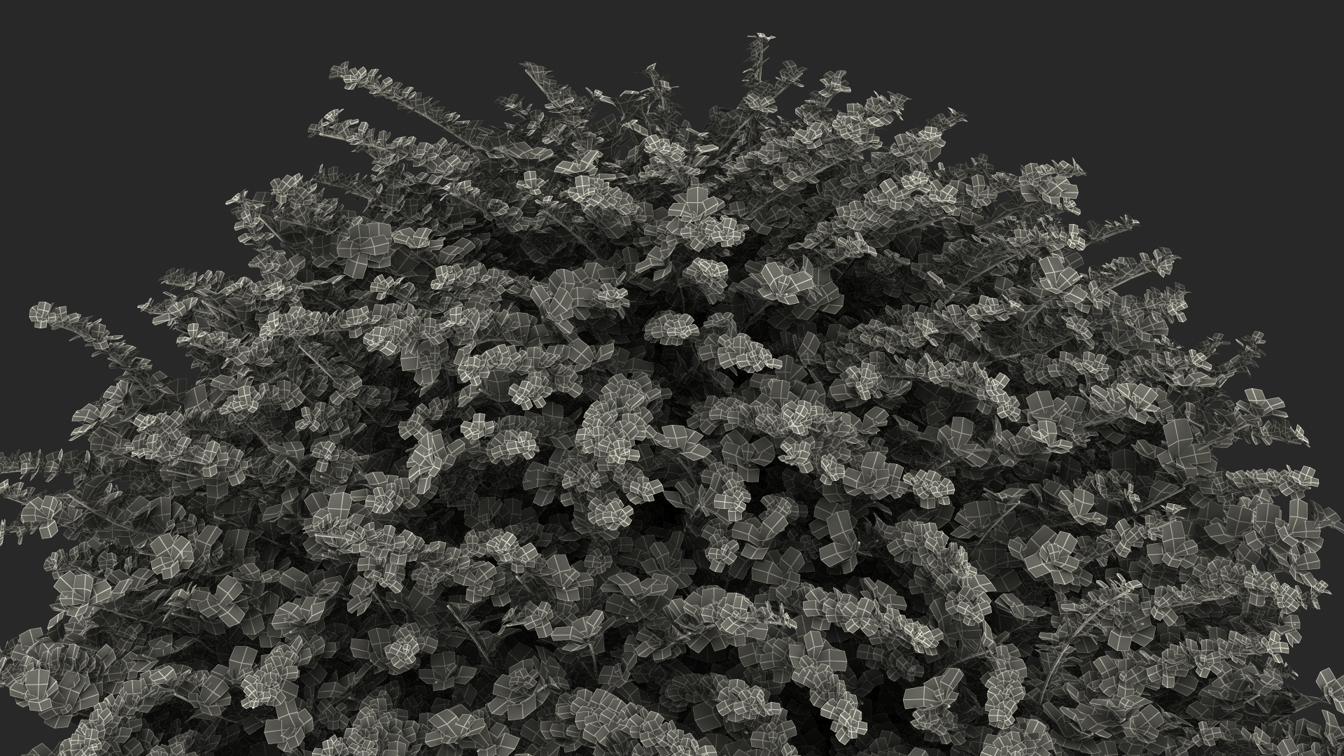 Berberis Shrub 3D model