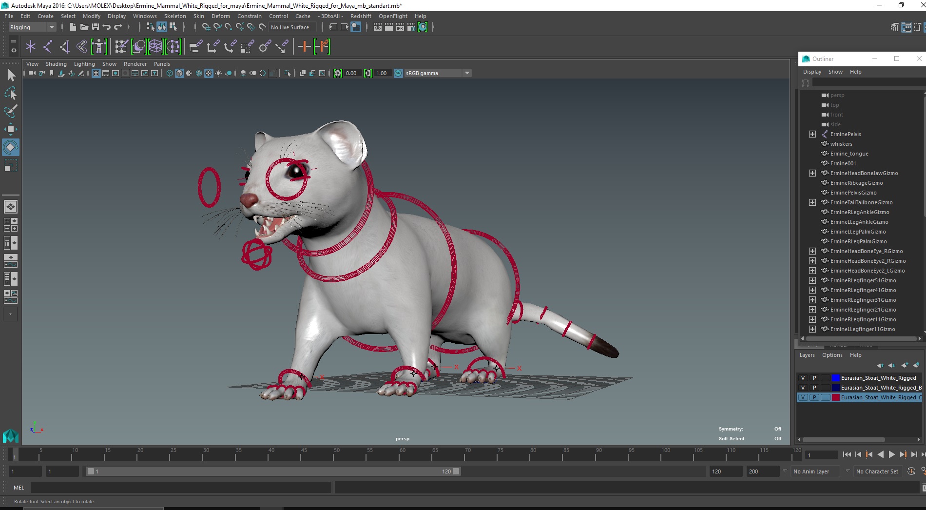 3D model Ermine Mammal White Rigged for Maya