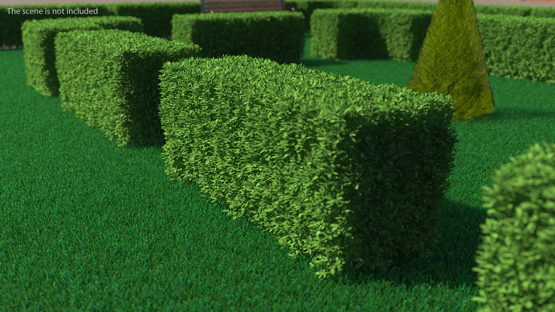 3D Boxwood Hedge model