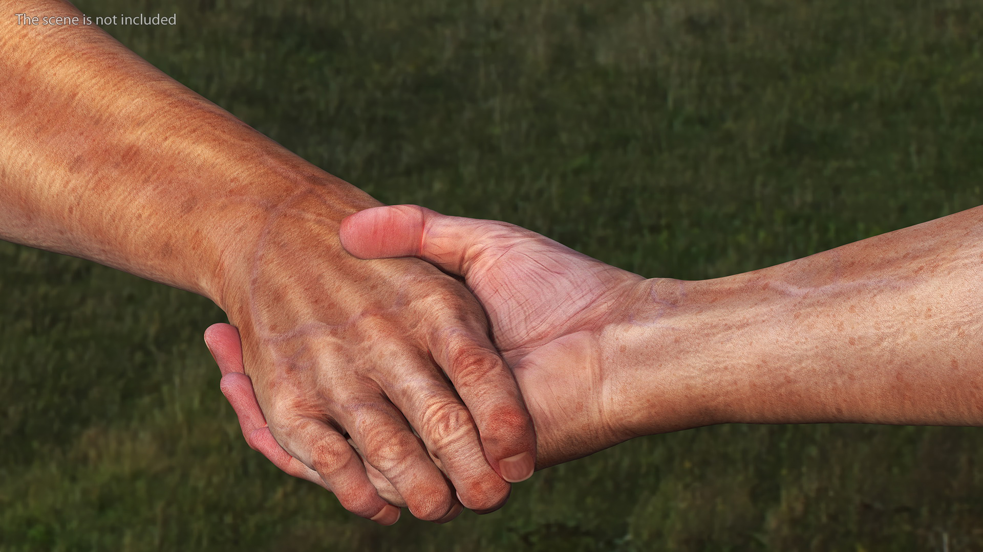 Handshake Old Man Hands Rigged for Maya 3D model