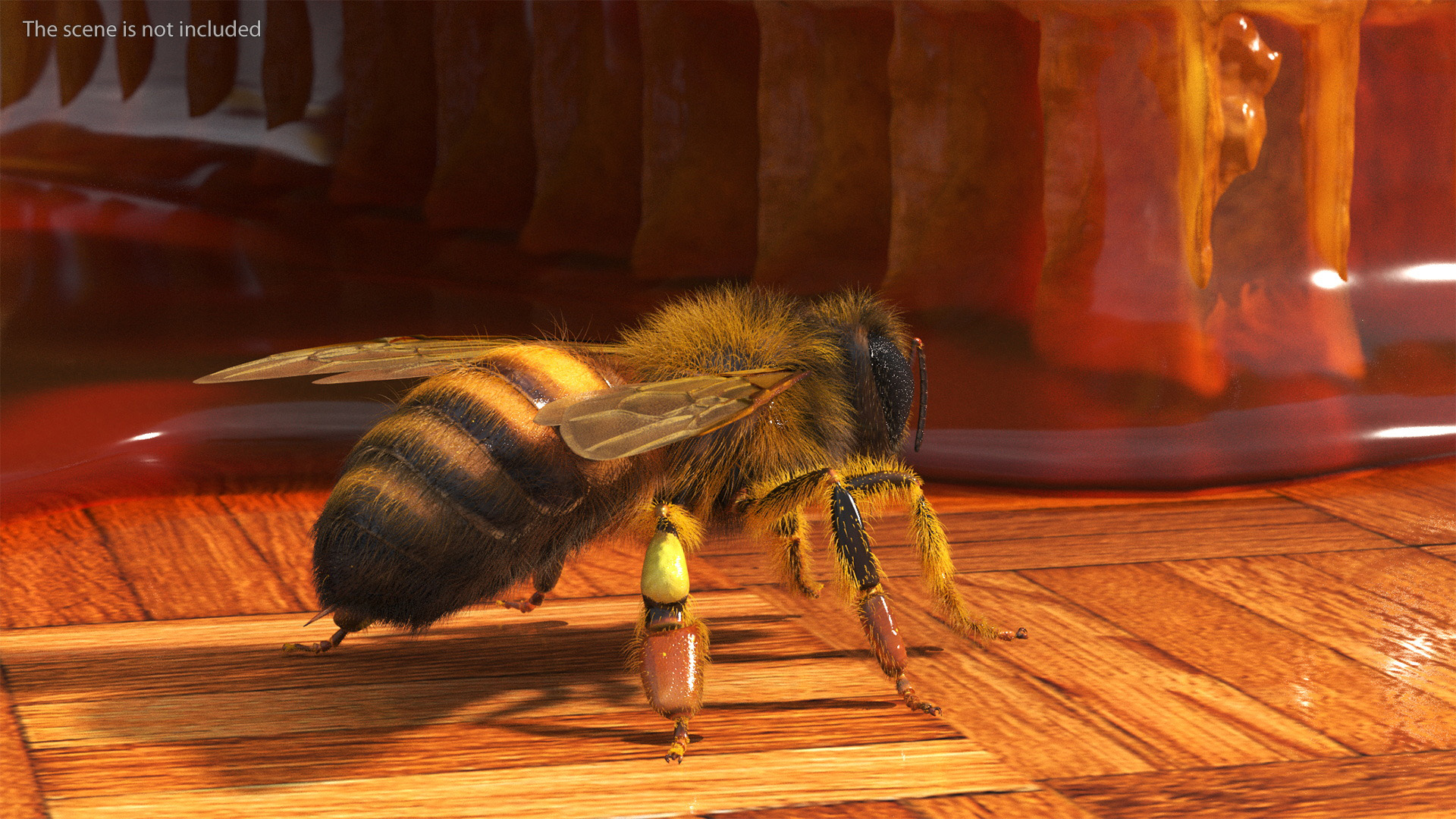 Apini Honey Bee Fur 3D model