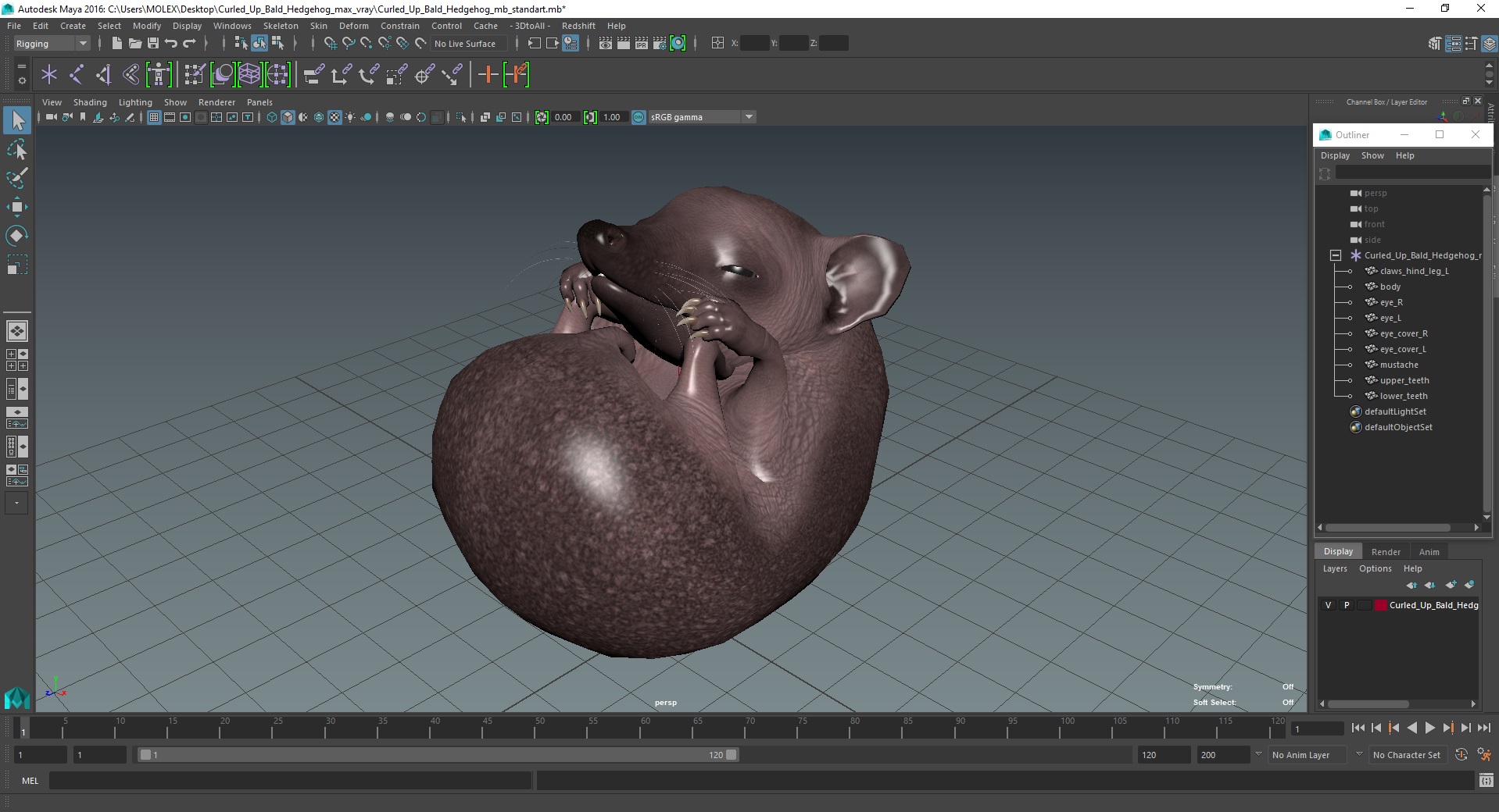 3D Curled Up Bald Hedgehog model