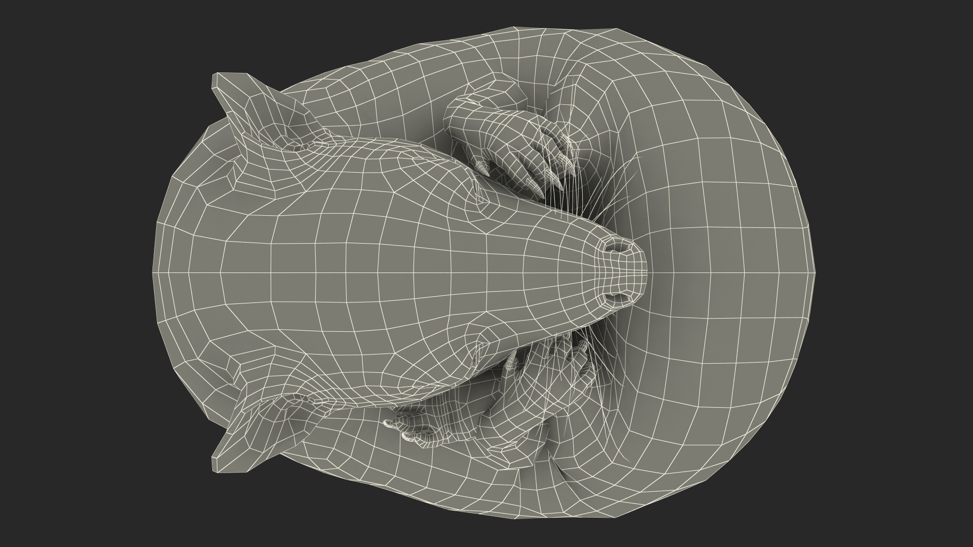 3D Curled Up Bald Hedgehog model