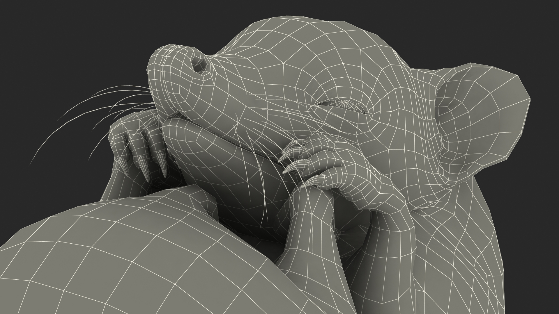 3D Curled Up Bald Hedgehog model