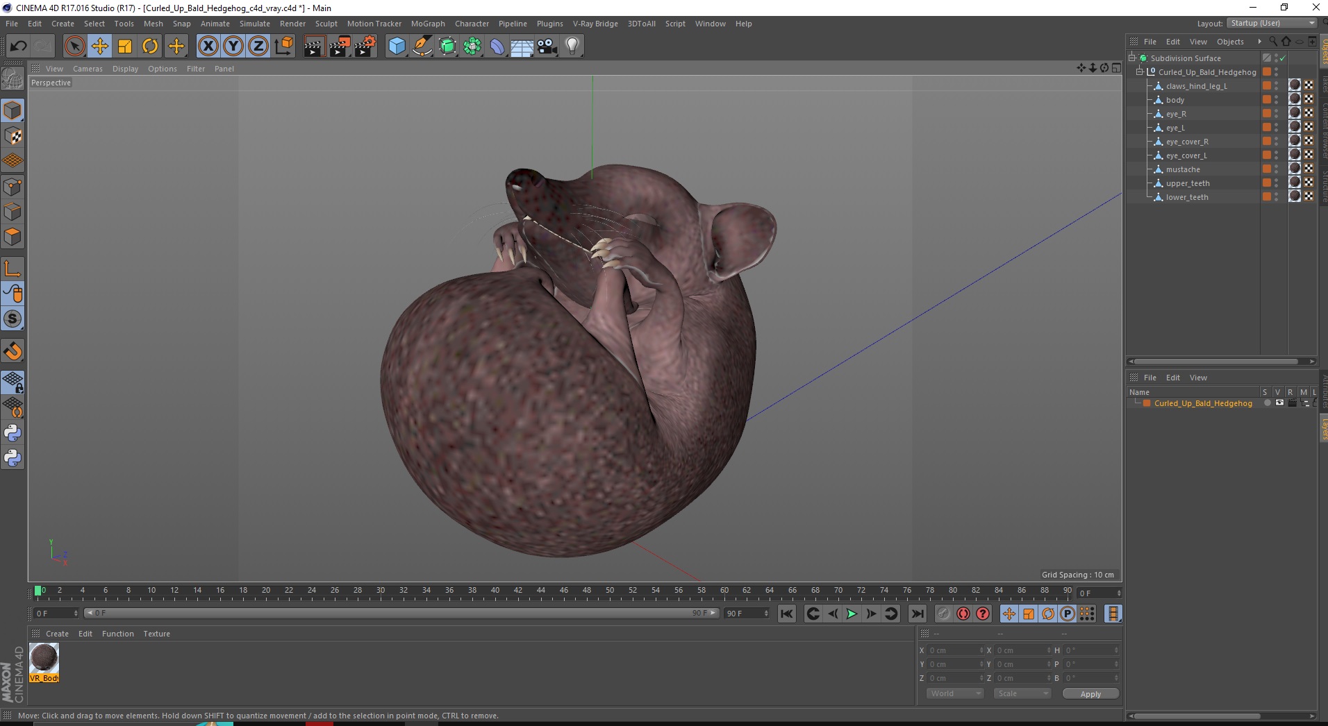 3D Curled Up Bald Hedgehog model