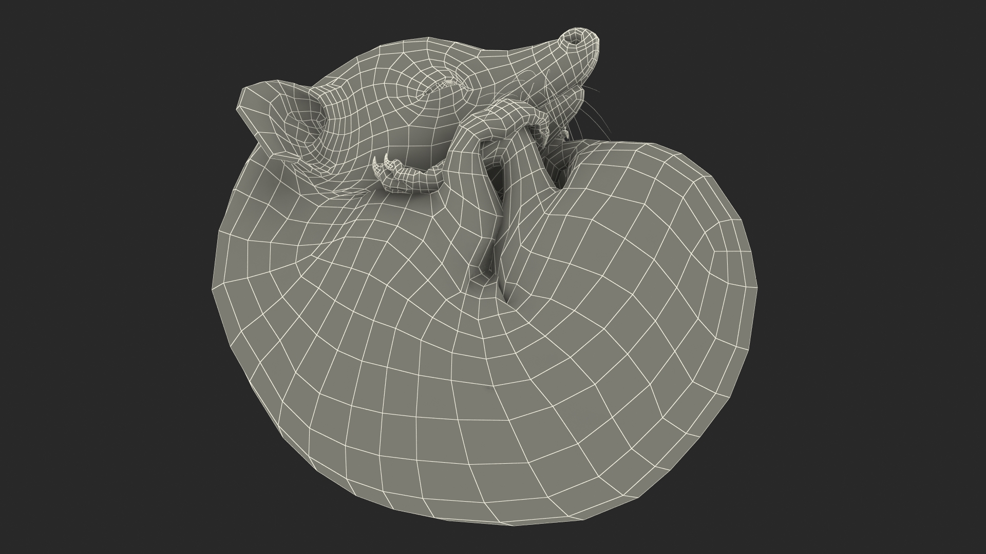 3D Curled Up Bald Hedgehog model