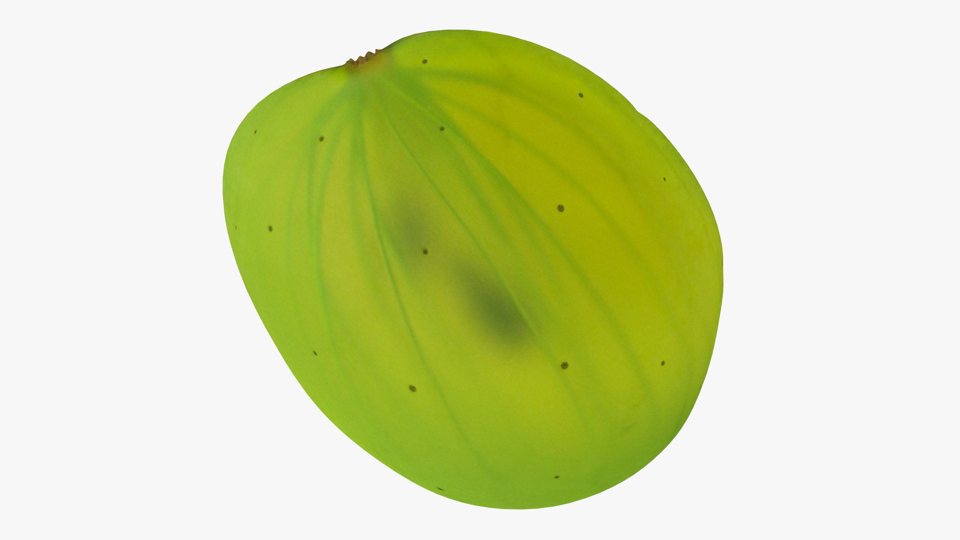 3D Translucent Slice of Green Grape Fruit model