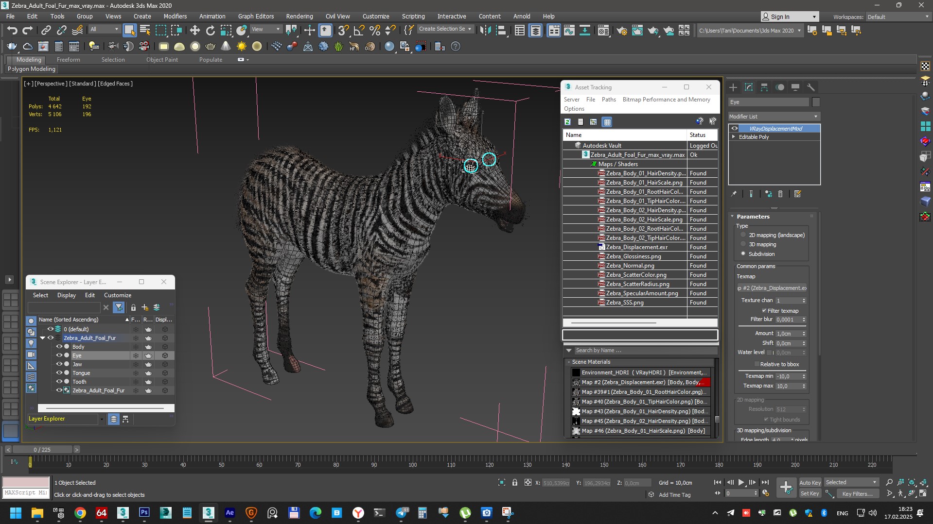 3D model Zebra Adult Foal Fur