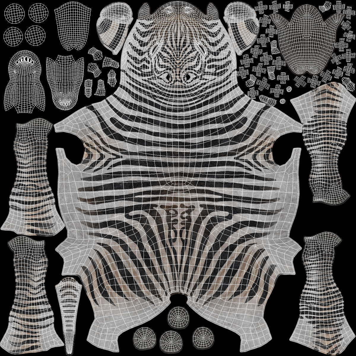 3D model Zebra Adult Foal Fur