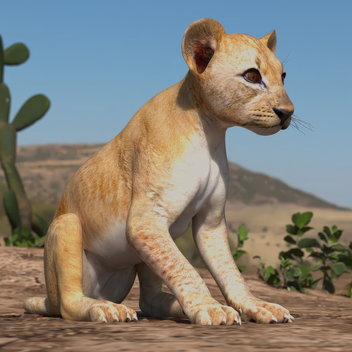 3D model Lion Cub Rigged