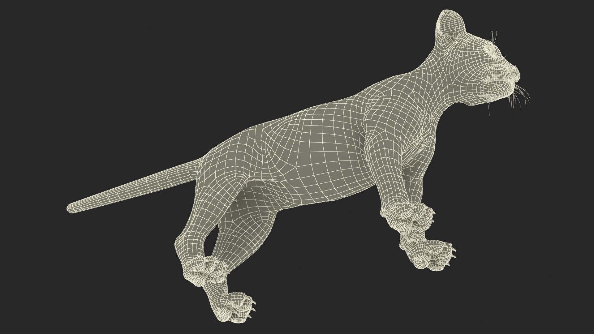 3D model Lion Cub Rigged