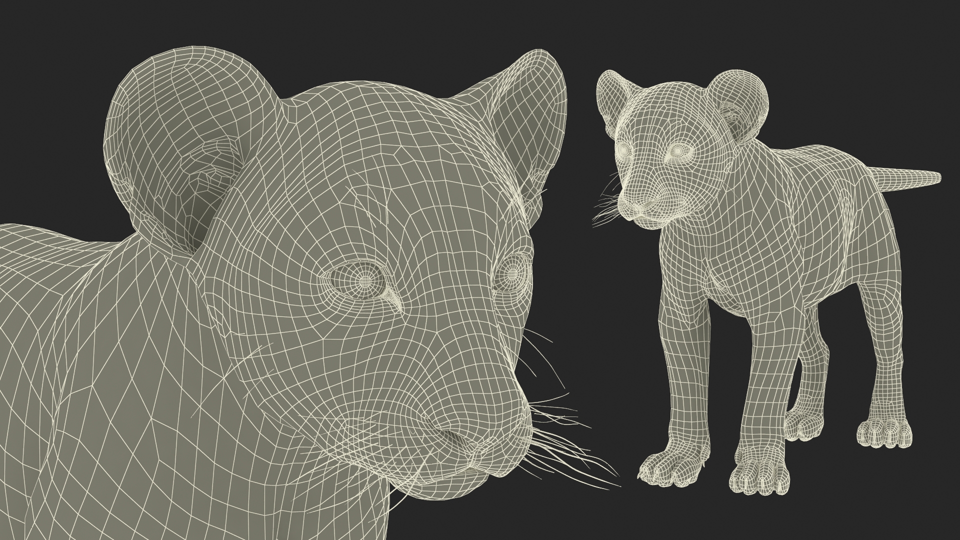 3D model Lion Cub Rigged