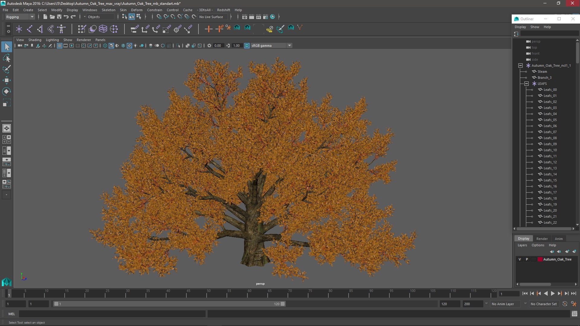 3D model Autumn Oak Tree