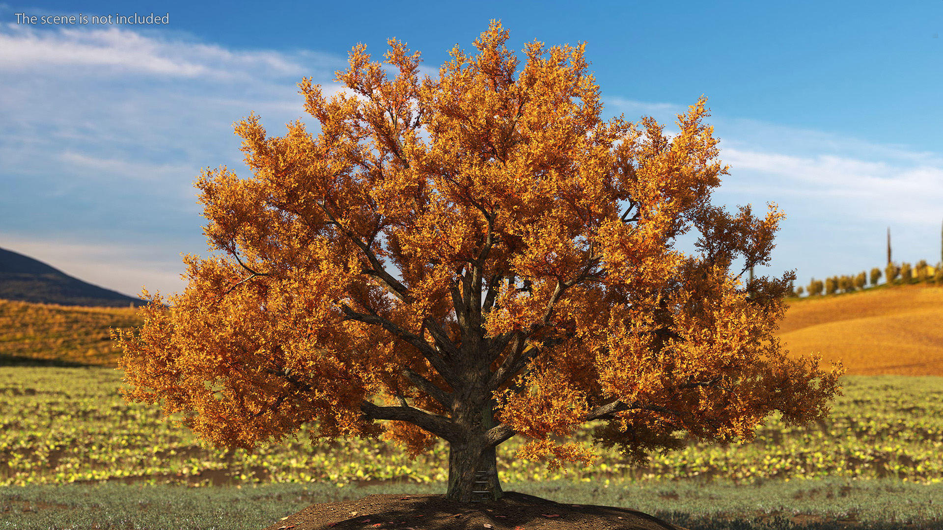 3D model Autumn Oak Tree