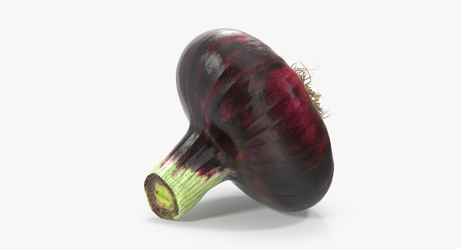 Red Onion 3D model