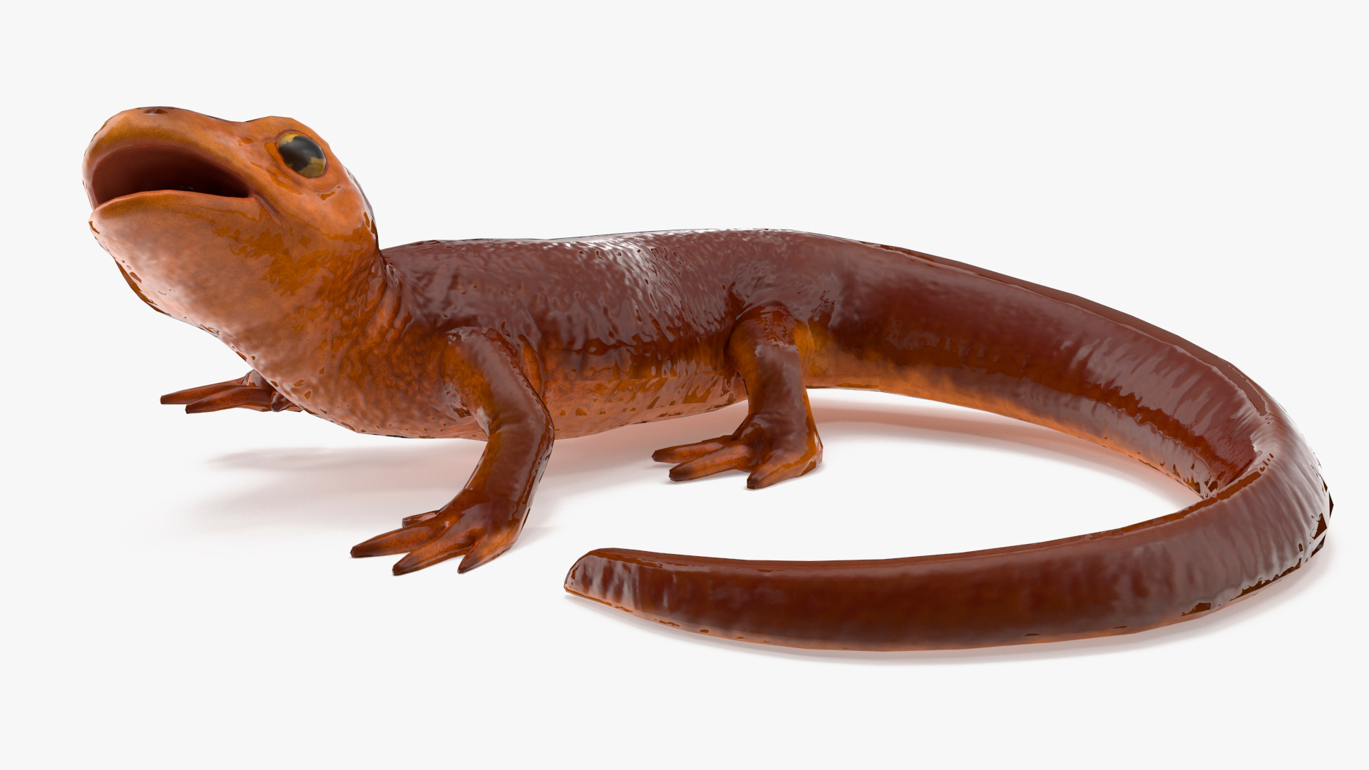 3D Orange-bellied Newt Rigged