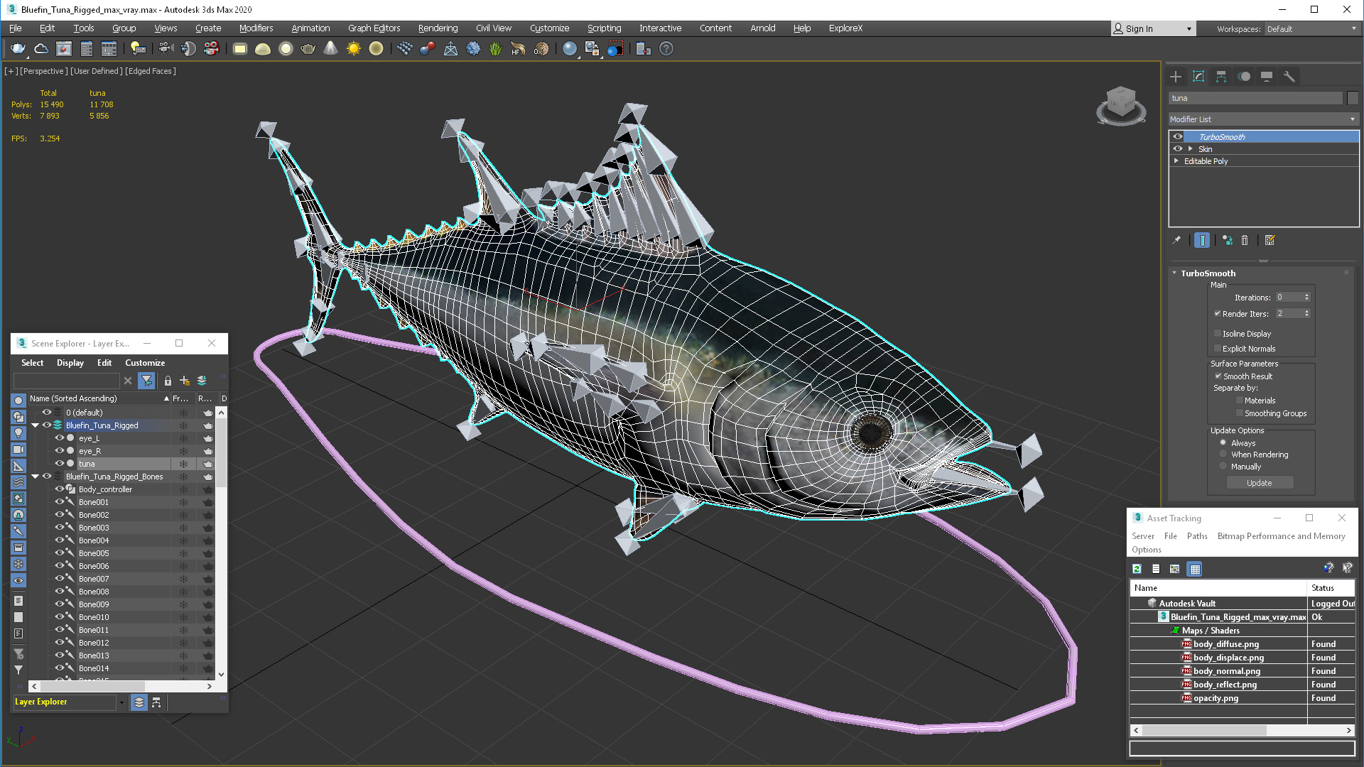 Bluefin Tuna Rigged 3D model