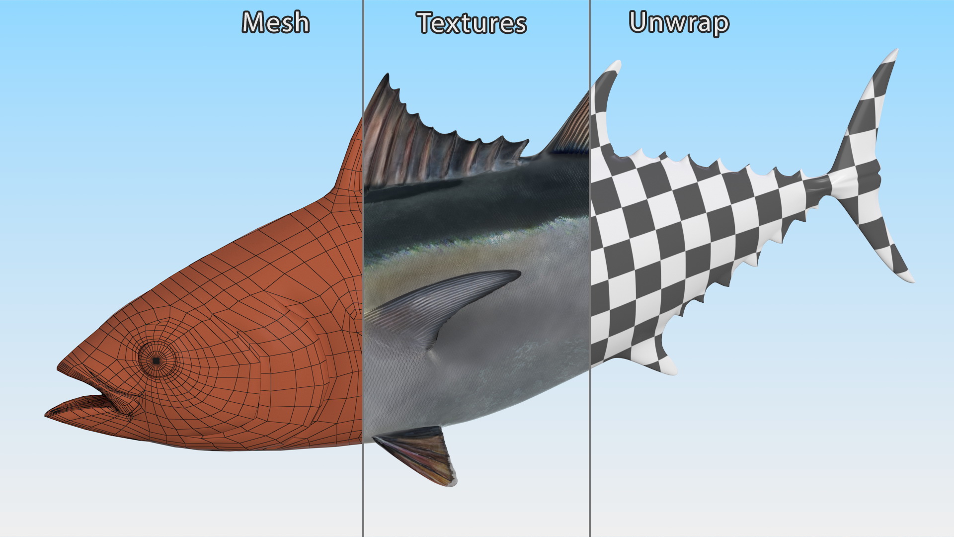 Bluefin Tuna Rigged 3D model