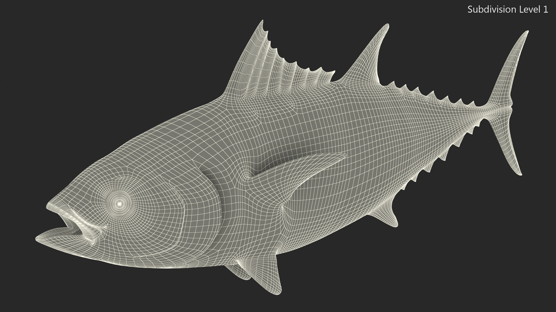 Bluefin Tuna Rigged 3D model