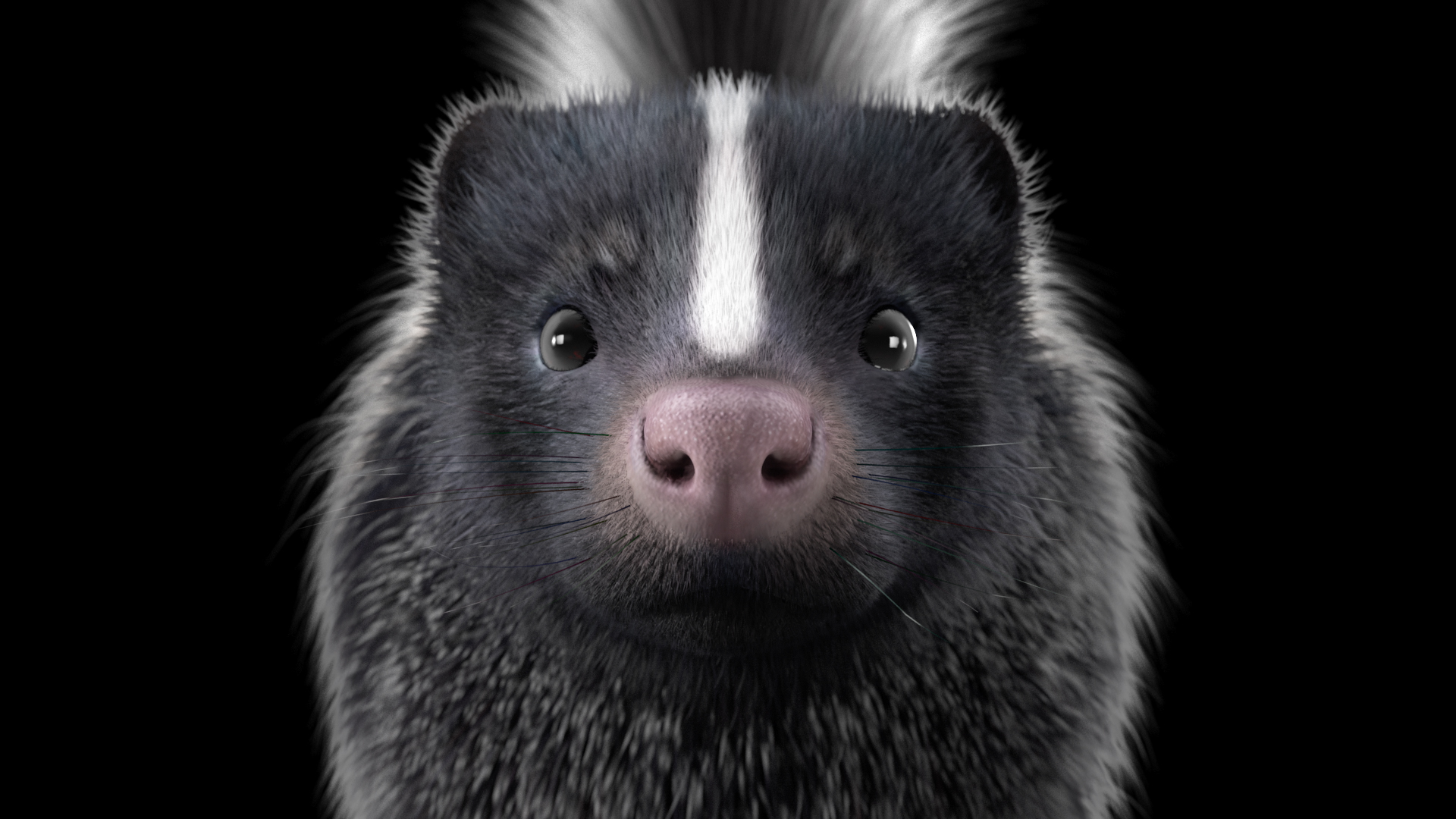 Skunk Fur 3D model