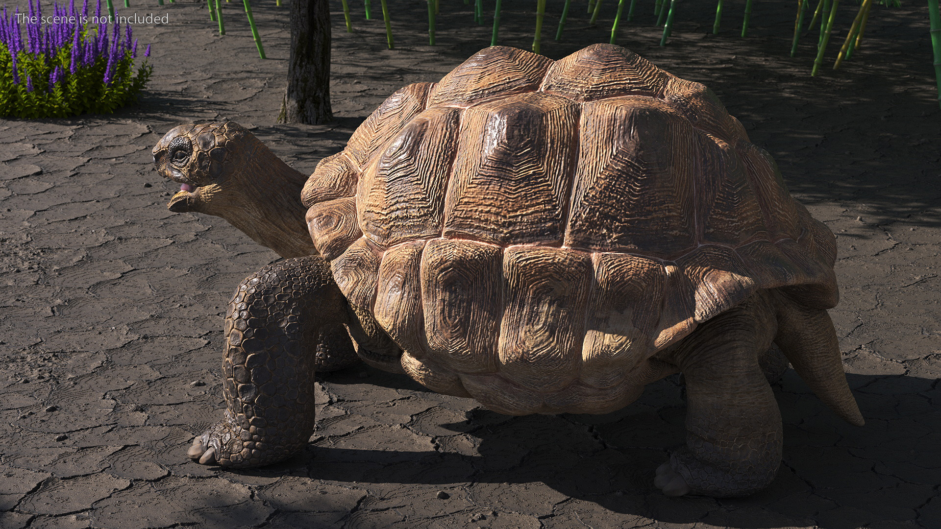 Aldabrachelys Gigantea Rigged 3D model