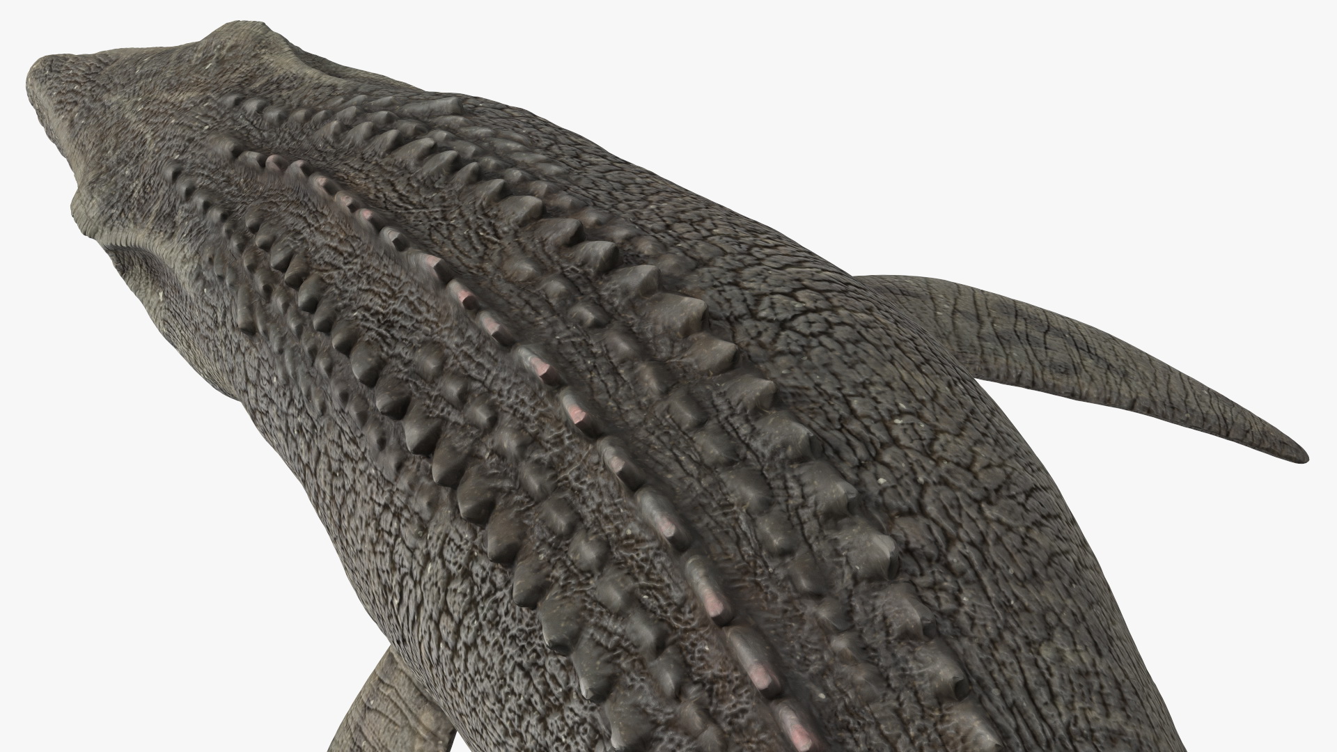 Mosasaurus Attack 3D