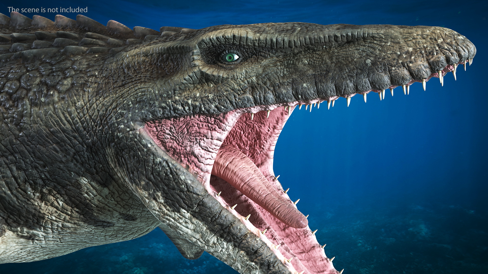 Mosasaurus Attack 3D