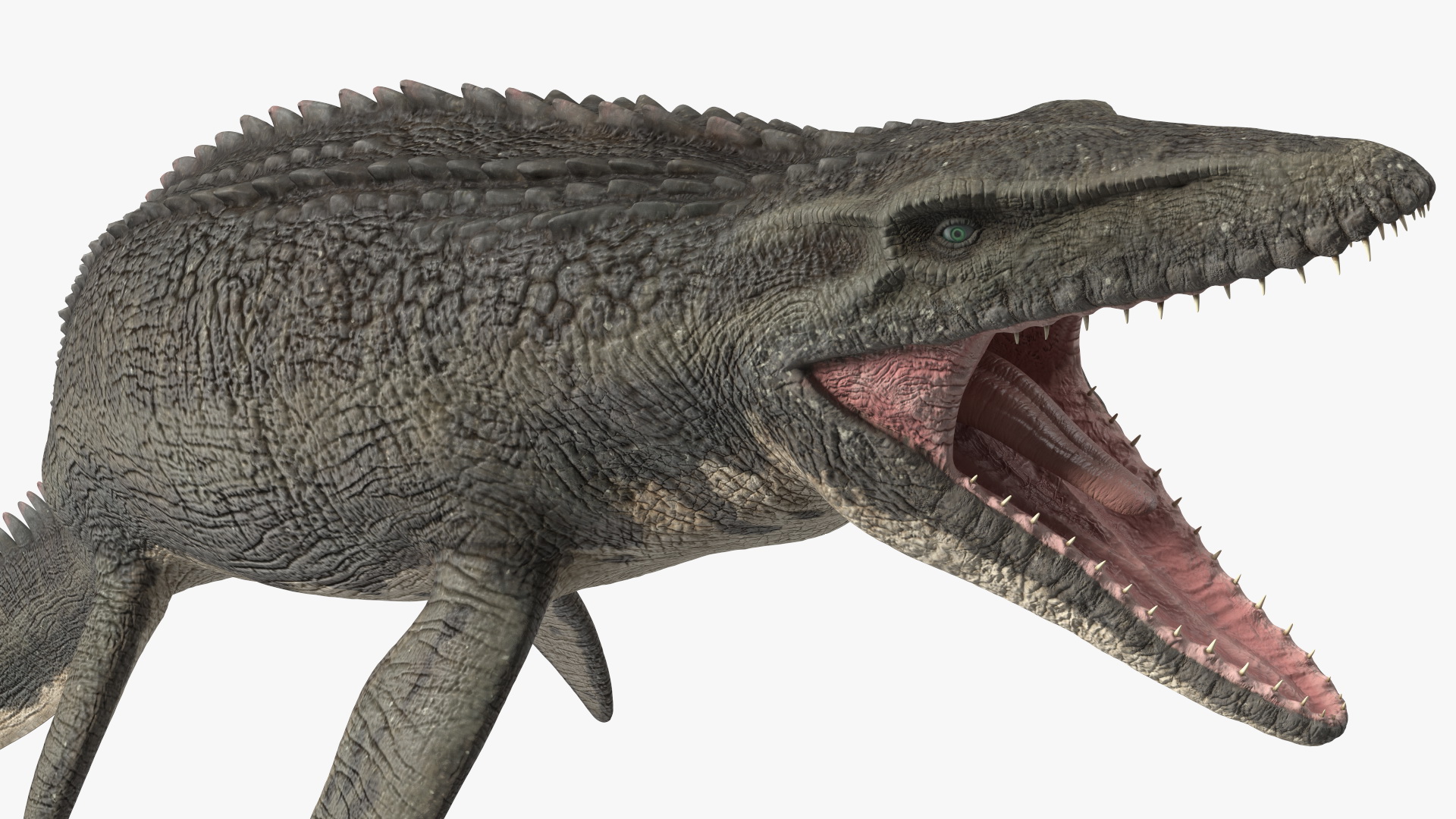 Mosasaurus Attack 3D