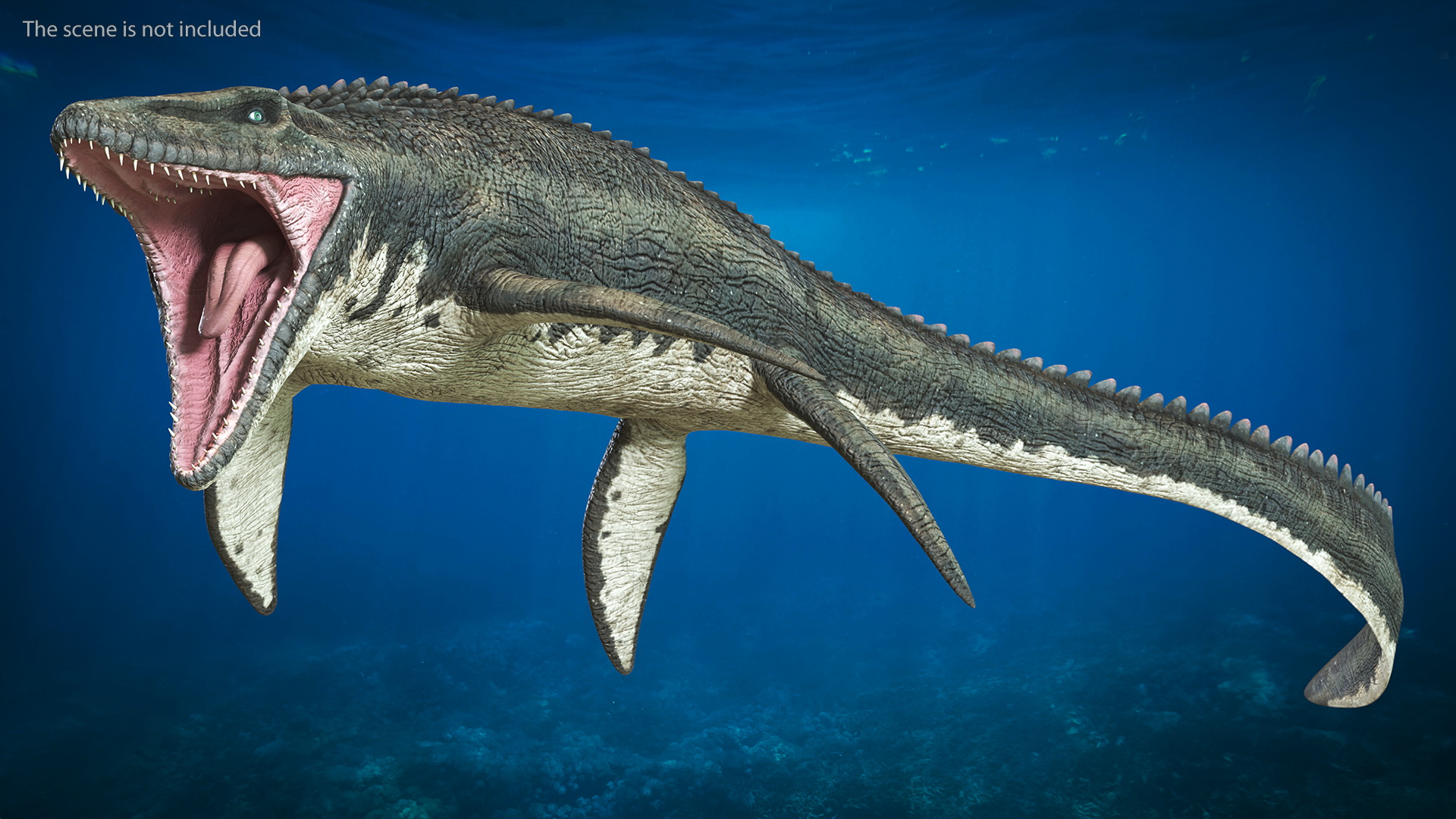 Mosasaurus Attack 3D