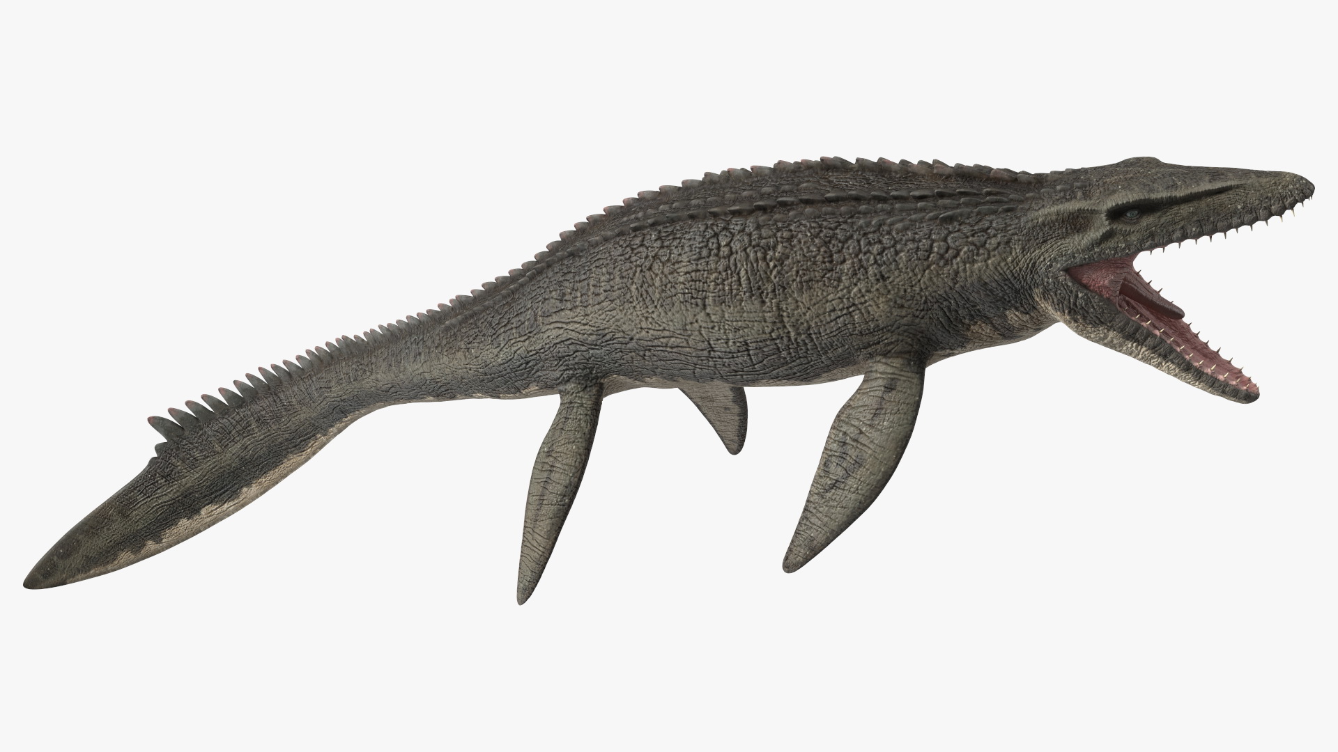 Mosasaurus Attack 3D