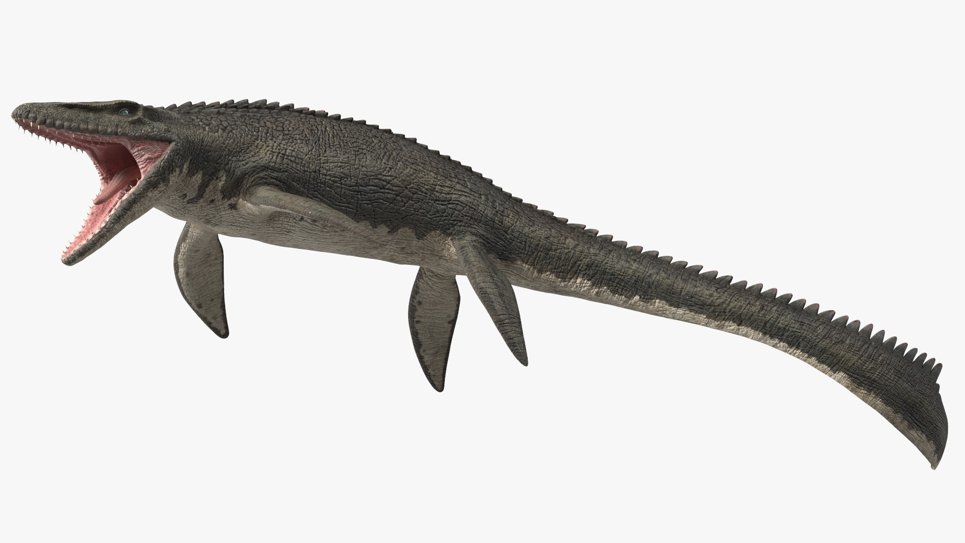 Mosasaurus Attack 3D